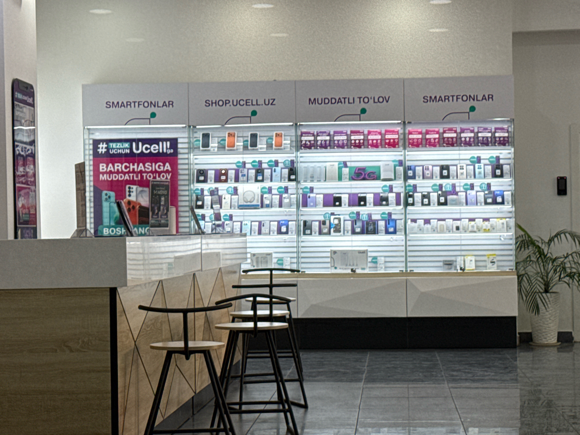 This is a photograph of the interior of a Ucell store, a mobile network operator in Uzbekistan, likely located in Tashkent. The store features a clean, modern design with white walls and a tiled floor. Dominating the scene is a well-lit display of mobile phones, organized on shelves behind glass. Above the displays, prominent signage in Uzbek and English indicates different sections of the store: "SMARTFONLAR" (Smartphones), "SHOP.UCELL.UZ" (Ucell's online shop), and "MUDDATLI TO'LOV" (Installment Payment).
On the left side of the image, a counter area is visible with a promotional poster for Ucell's installment payment plan. The poster features the Ucell logo and images of smartphones. Several high stools with light-colored seats and black metal frames are arranged in front of the counter, suggesting a waiting or service area. To the right, a potted palm plant in a white decorative pot adds a touch of greenery to the environment. The overall impression is that of a retail space designed to showcase and sell mobile devices and services.