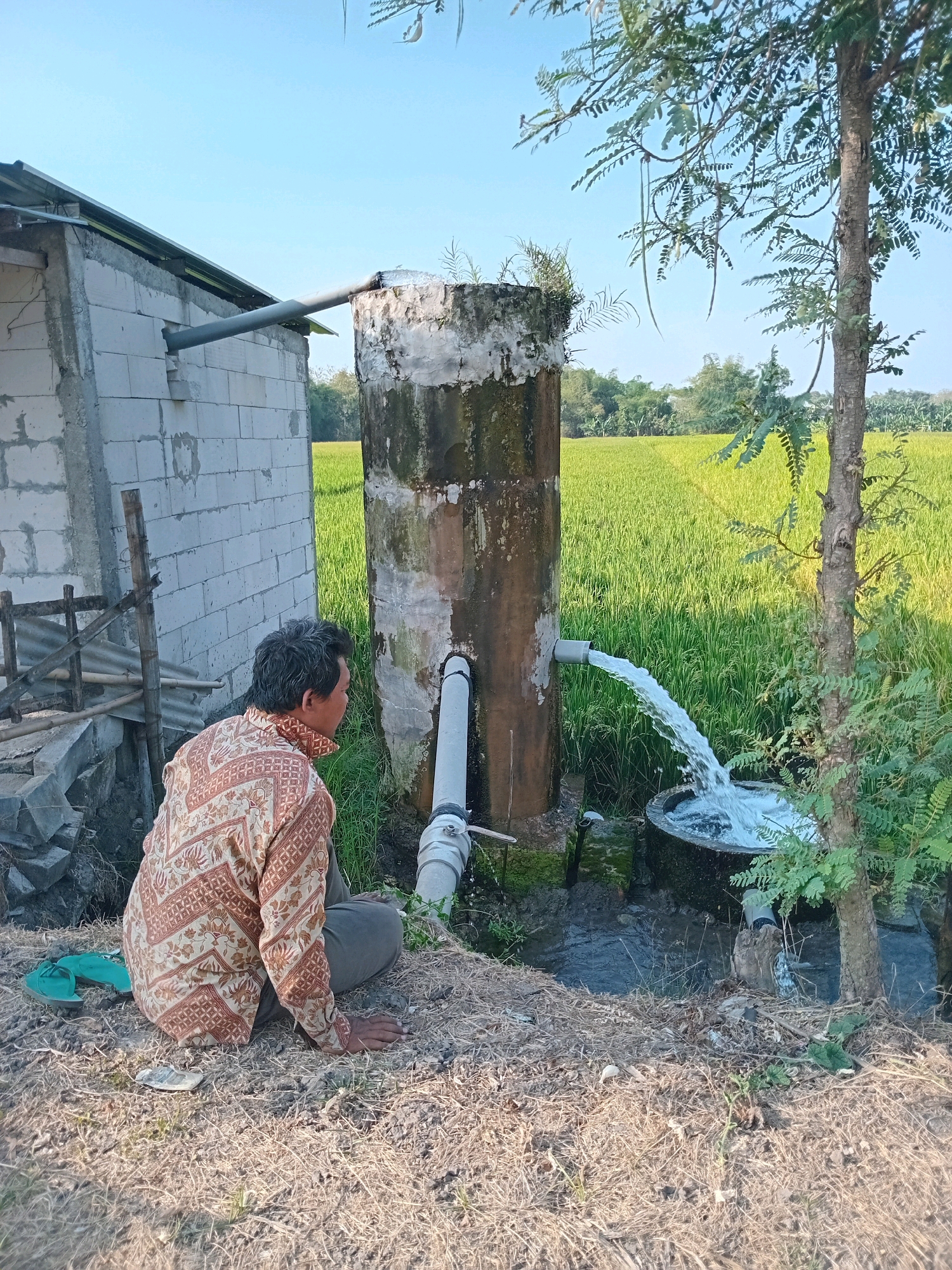 In Mojorayung, Indonesia, a man in a patterned shirt sits on dry grass, observing water being pumped from a concrete cylindrical structure. The water flows through a pipe attached to the structure and then into a circular basin. To the left of the structure is a partially constructed building made of white cinder blocks. In the background, a lush green rice field stretches towards the horizon under a clear blue sky. A tree with thin leaves stands to the right of the scene, its branches reaching upwards. The overall environment suggests an agricultural setting.