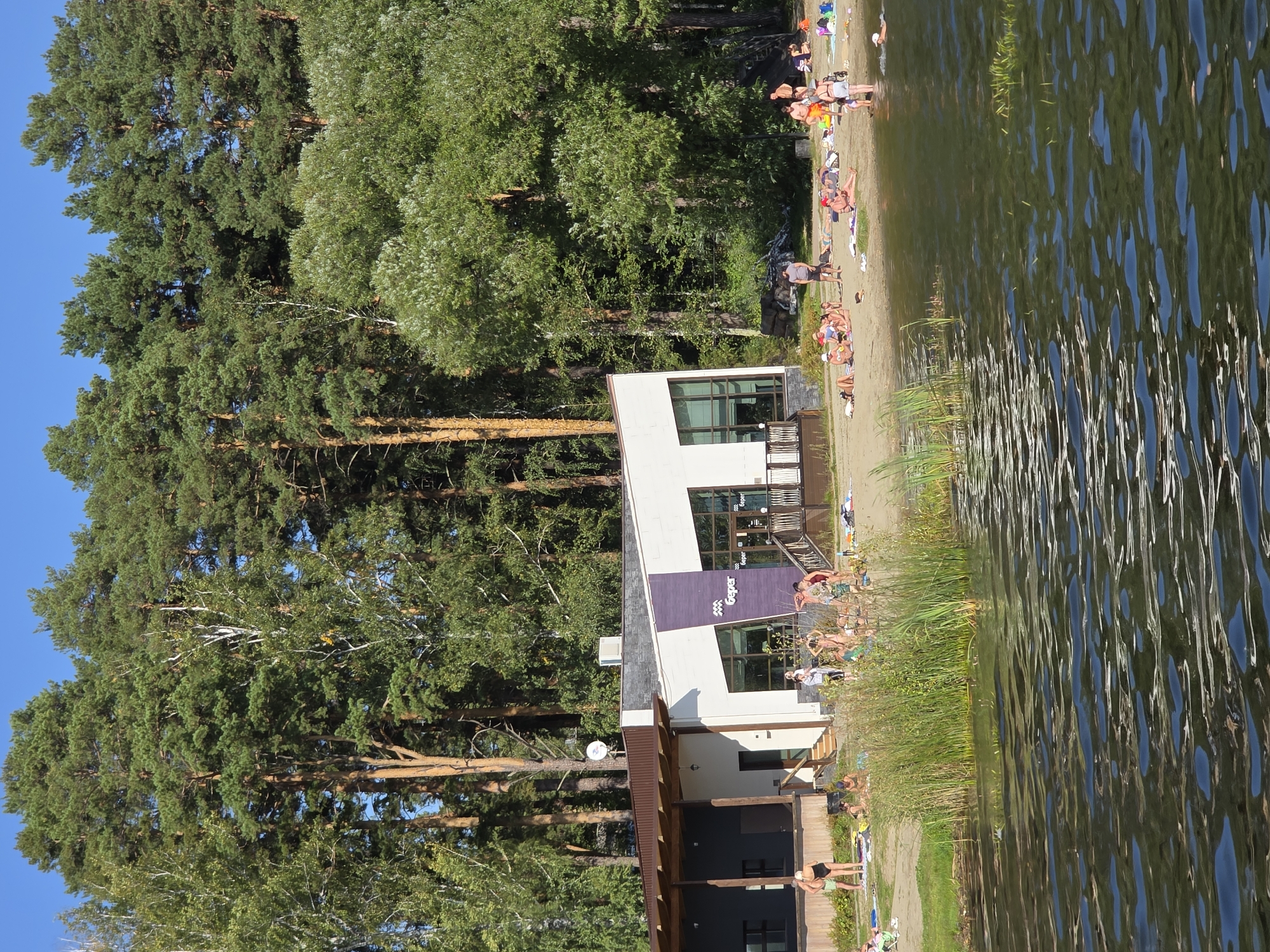 The image depicts a sunny day at a lakeside recreational area, likely within the city of Chebarkul, Russia. A modern building with a white facade and a dark-brown roof is situated on the sandy shore, featuring large windows and a purple accent panel with the logo "Берег" (BereG). Numerous people are scattered across the sandy beach and in the shallow water, engaged in activities such as sunbathing, socializing, and swimming. Some individuals are lying on towels, while others are standing or walking. A person is visible swimming in the water, wearing a white cap. The background is dominated by a dense forest of tall pine trees and other deciduous trees, indicating a natural, wooded environment. The foreground shows the rippling surface of a body of water, with tall reeds growing along the shoreline. The overall scene conveys a sense of leisure and outdoor recreation on a warm day.