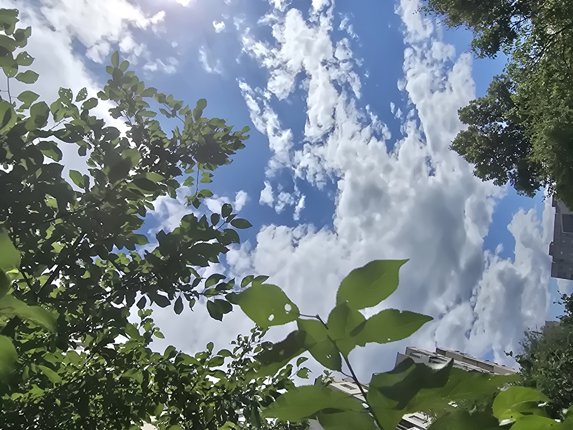 This image captures a skyward view, predominantly featuring a bright blue sky dotted with fluffy white clouds. Lush green tree leaves and branches frame the top and left sides of the composition, some of the leaves showing small holes. In the background, the upper portions of buildings are visible, suggesting an urban or suburban setting. Specifically, the scene appears to be from Vyshneve, Ukraine, given the architectural style of the buildings. The sunlight is strong, indicated by the bright illumination and a subtle lens flare in the upper right quadrant. No people or specific actions are depicted. The overall environment is outdoors, under a clear but cloud-filled sky, with vegetation and buildings characteristic of a residential area in Vyshneve.