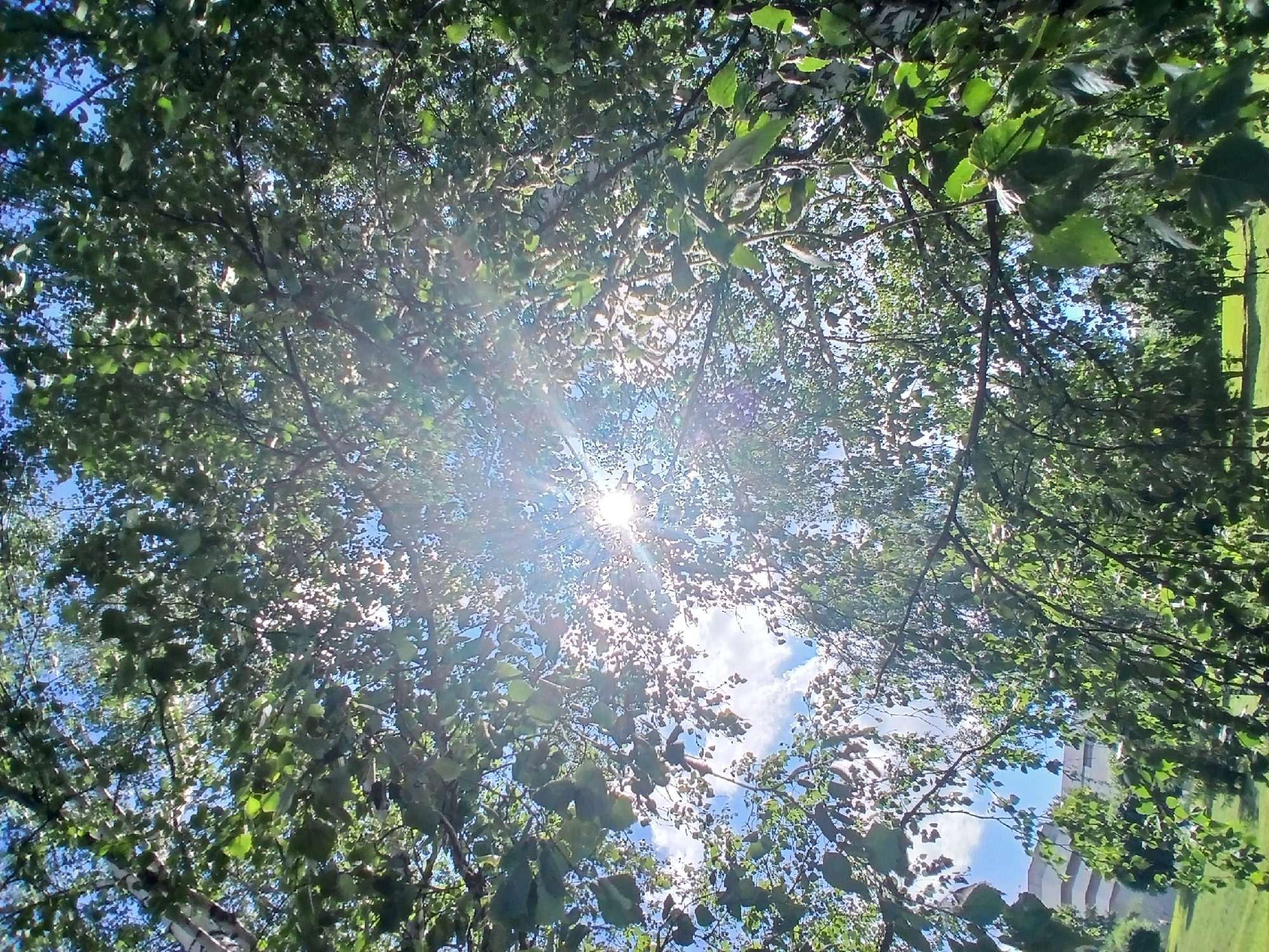 This media file captures a view looking upwards through the canopy of green deciduous trees. The sun is shining brightly, creating a lens flare and casting rays of light through the leaves. Patches of blue sky and scattered white clouds are visible between the branches and foliage. In the background, a multi-story building with a light-colored facade and curved architectural elements can be seen amidst more trees and a grassy area. The scene suggests a daytime setting, likely outdoors in a park or urban green space, given the presence of both natural elements and the building. The overall impression is one of a sunny day, with the dappled sunlight filtering through the leaves creating a peaceful and natural atmosphere. No people or specific events are depicted. There is no visible text in the image. The location context provided is Yekaterinburg, Russia.