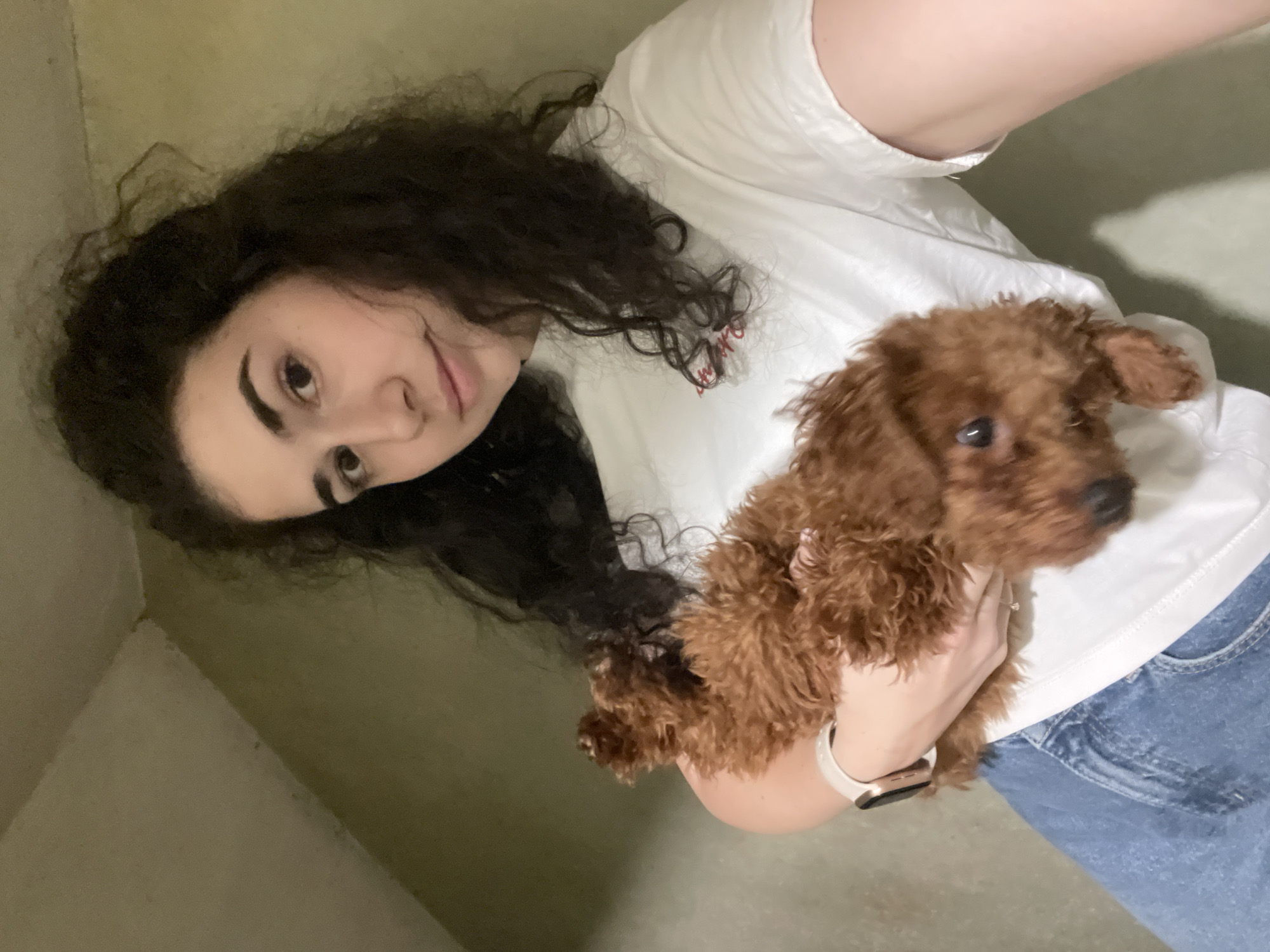 A young woman with dark curly hair is holding a small brown poodle-type dog. She is wearing a white t-shirt and blue jeans. The background appears to be an interior space with light-colored walls. There is no clear indication in the image of Sofia, Bulgaria.