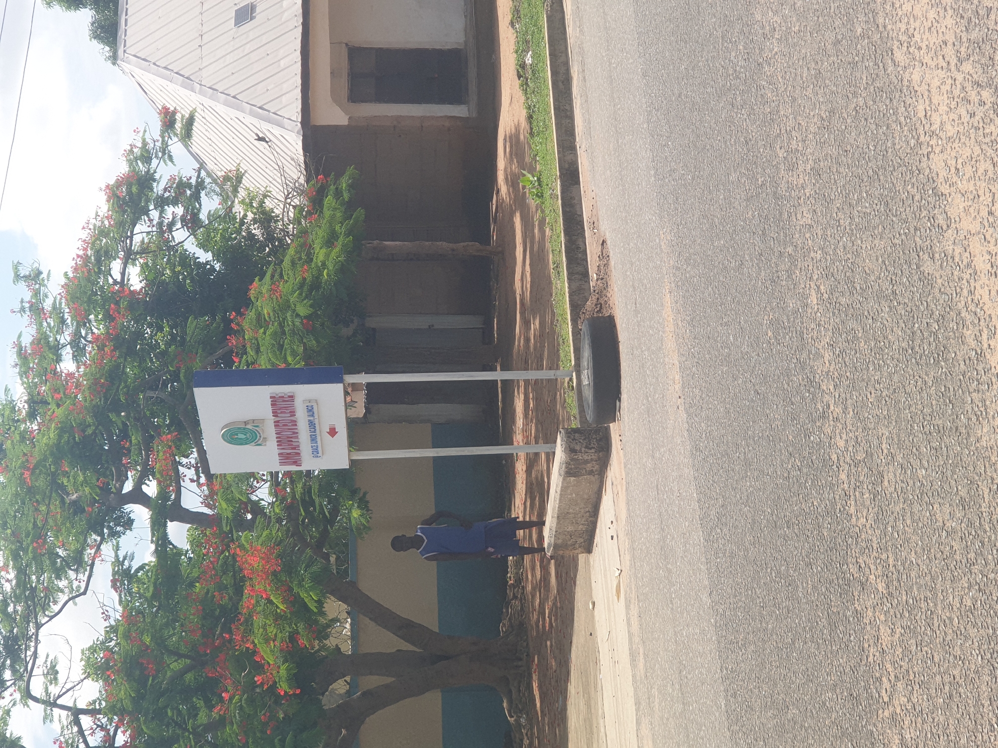 The image captures an outdoor scene in Jalingo, Nigeria, featuring a street view adjacent to what is identified as a JAMB Approved Centre. A white rectangular sign with a blue border stands centrally, displaying "JAMB APPROVED CENTRE" and "@ GRACE JUNIOR ACADEMY, JALINGO" with a red directional arrow pointing left. A large tree with vibrant red blossoms and green foliage dominates the left side and top of the frame. Underneath this tree, on a dirt patch, a dark-skinned male, dressed in a blue sleeveless top and blue shorts, stands with his left hand on his hip, facing forward. To the right of the sign, a building with an off-white wall and a light-colored corrugated metal roof is visible, featuring a dark rectangular door opening. Behind the person on the left, a wall with yellow and blue horizontal stripes is partially visible. The foreground consists of an asphalt road surface. Between the road and the treeline/buildings, there is a dirt area with some sparse green vegetation. A concrete block or barrier lies on the ground to the left of the sign, and a discarded black tire is partially embedded in the dirt near the sign's base. The sky above is bright with scattered clouds.