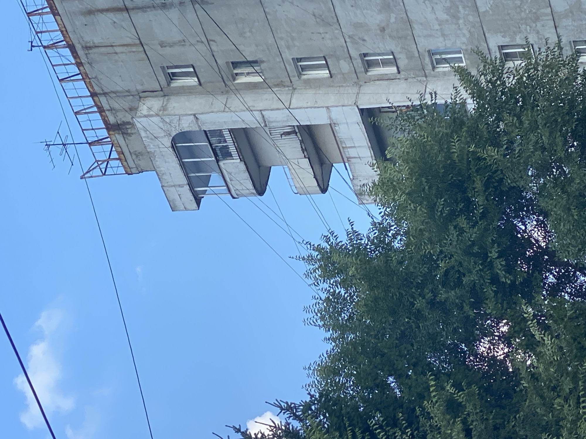 An outdoor, medium-shot, eye-level, slightly tilted up, daytime photograph captures the side of a tall, gray, concrete apartment building against a bright blue sky with scattered white clouds. A large, dense green tree occupies the foreground, partially obscuring the lower floors of the building. The building exhibits signs of age and wear, with visible stains and marks on its facade.
Several windows, mostly rectangular and some with white frames, are visible on the building's right side. A distinctive feature is a series of curved balconies on the left side of the building, some of which are enclosed with glass. The topmost section of the building features a rusty metal railing and a television antenna. Power lines are strung across the scene, crossing in front of the building and the sky. The overall impression is that of an urban environment, possibly in Novokuznetsk, Russia, given the architectural style and the presence of a communal TV antenna, common in older Soviet-era apartment blocks. No people or specific actions are discernible in the image.