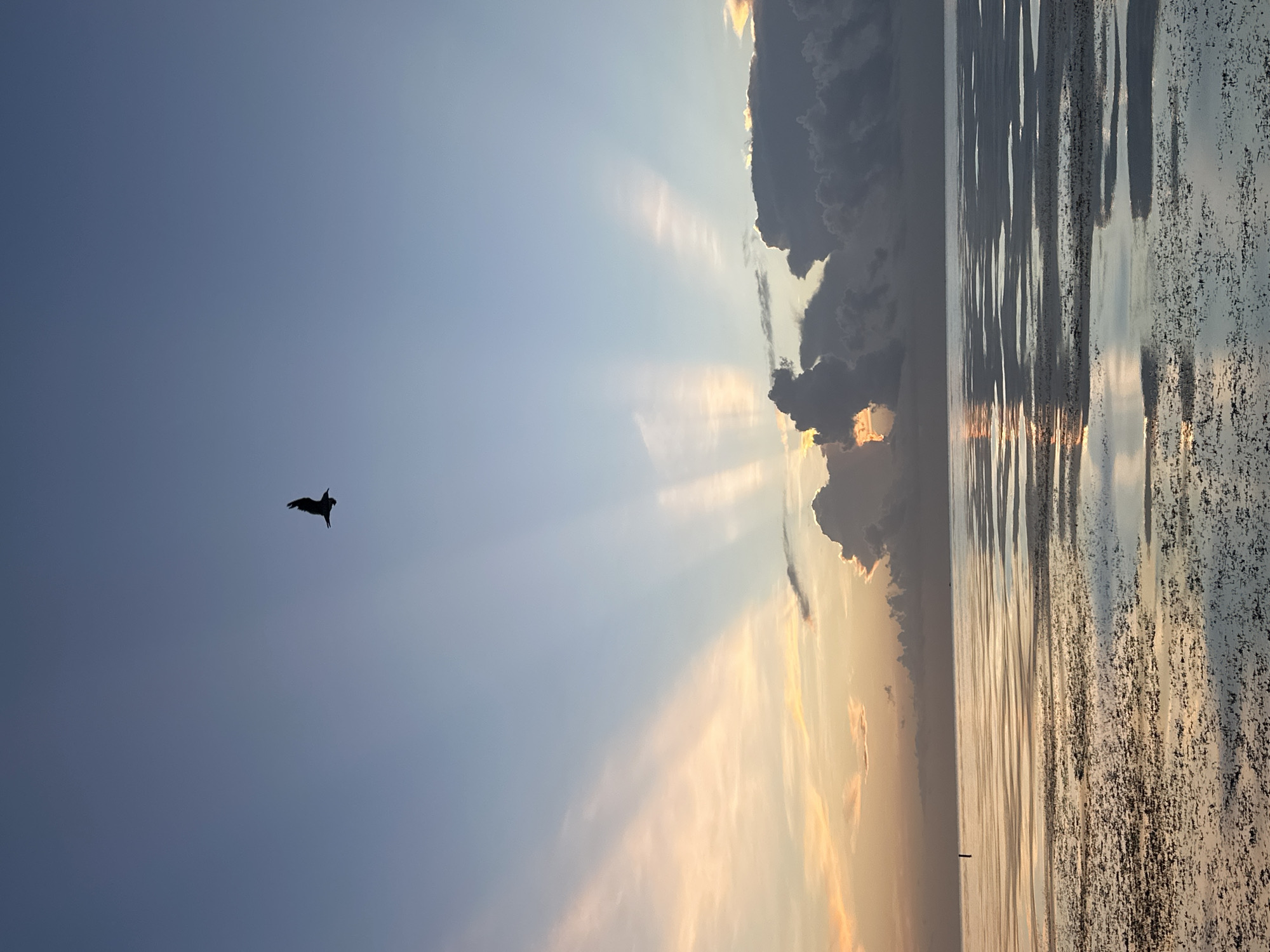 A solitary bird is silhouetted against a gradient sky of soft blues and subtle pinks and oranges, indicative of either sunrise or sunset. Sunbeams radiate downwards from behind a cluster of dark, textured clouds on the right side of the frame. The lower half of the image depicts a calm body of water, reflecting the sky and clouds. The water's surface is broken by patterns of shallow areas and darker, submerged textures, suggesting a tidal flat or shallow coastline. A small, dark pole-like object is visible in the water on the left side of the image. The scene appears to be an open coastal area, likely in Sunny Isles Beach, Florida, United States of America, given the visual cues of a flat, expansive body of water adjacent to a coastline with scattered vegetation or sandbars.