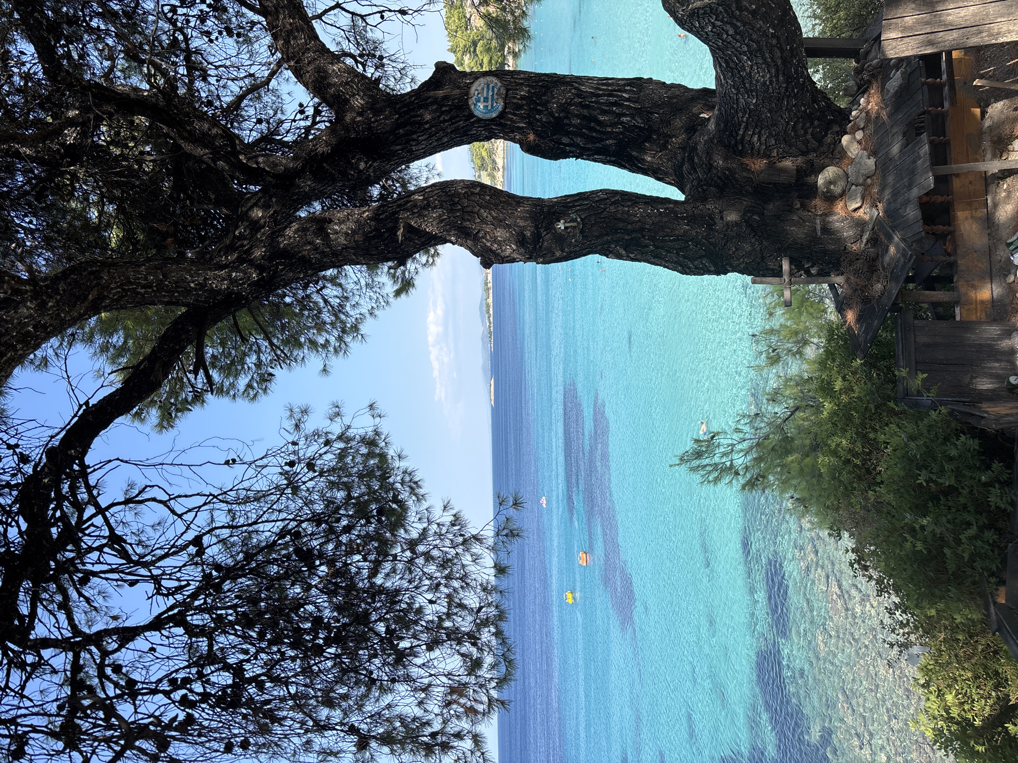 The image depicts a scenic view of a clear turquoise sea in Sithonia Municipal Unit, Greece, framed by the dark, thick branches of a large tree in the foreground. The tree's trunk is prominent, with two main boughs curving upwards and to the sides. A small, decorative structure is built around the base of the tree, featuring wooden planks and a small roof adorned with rocks and pinecones. A wooden cross is also visible on this structure.
In the water, several small boats are scattered, including what appear to be yellow and orange pedal boats. Further out, the deep blue sea extends to the horizon, with a light blue sky above, dotted with a few wispy clouds. The coastline is visible in the distance, with lush green hillsides sloping down to the water. The water is remarkably clear, allowing visibility of the rocky seabed in shallower areas. A lone swimmer can be seen in the far right of the frame, enjoying the tranquil waters.
On the trunk of the right-hand bough of the tree, a circular blue and white emblem, possibly a flag or crest, is affixed. Another smaller nautical-themed ornament, resembling an anchor, is attached to the left bough. The overall scene evokes a sense of natural beauty and coastal serenity.