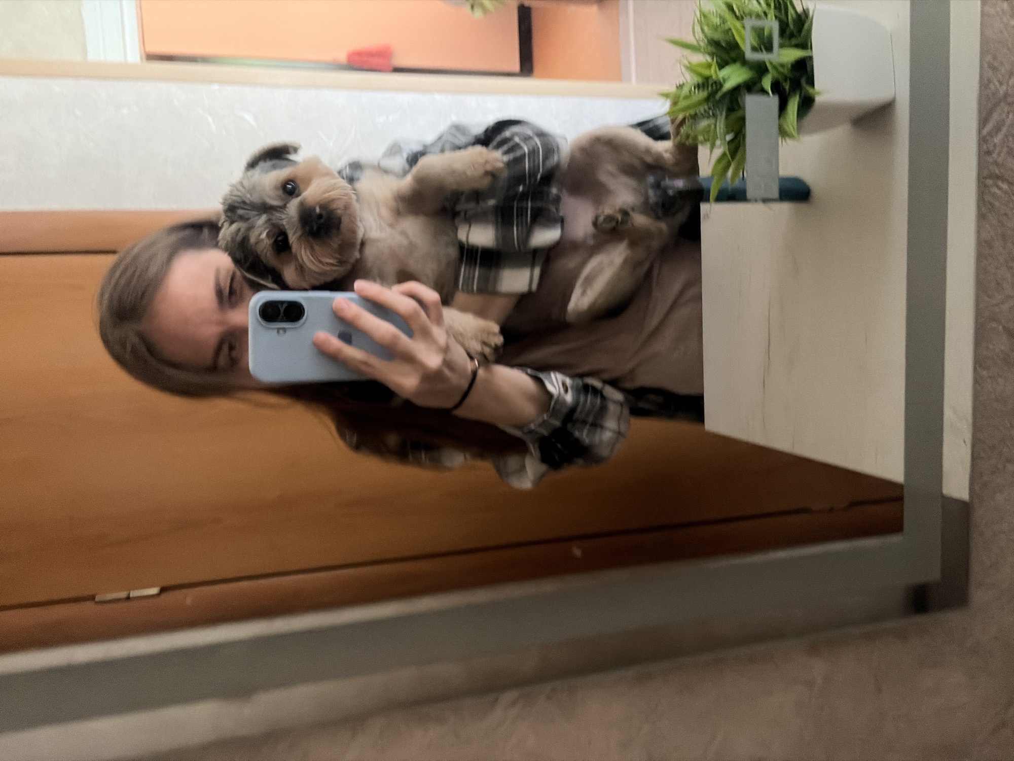 A young woman, with long brown hair, takes a mirror selfie while holding a small dog. She is wearing a plaid shirt over a brown t-shirt. The dog, a Yorkshire Terrier or similar breed, is light brown and grey. The setting appears to be indoors, possibly in an apartment. In the foreground, a white shelf holds a small potted plant with green leaves. The background shows a wooden door and a reflection in the mirror that includes another room with orange-colored walls. The image was taken in Tambov, Russia.