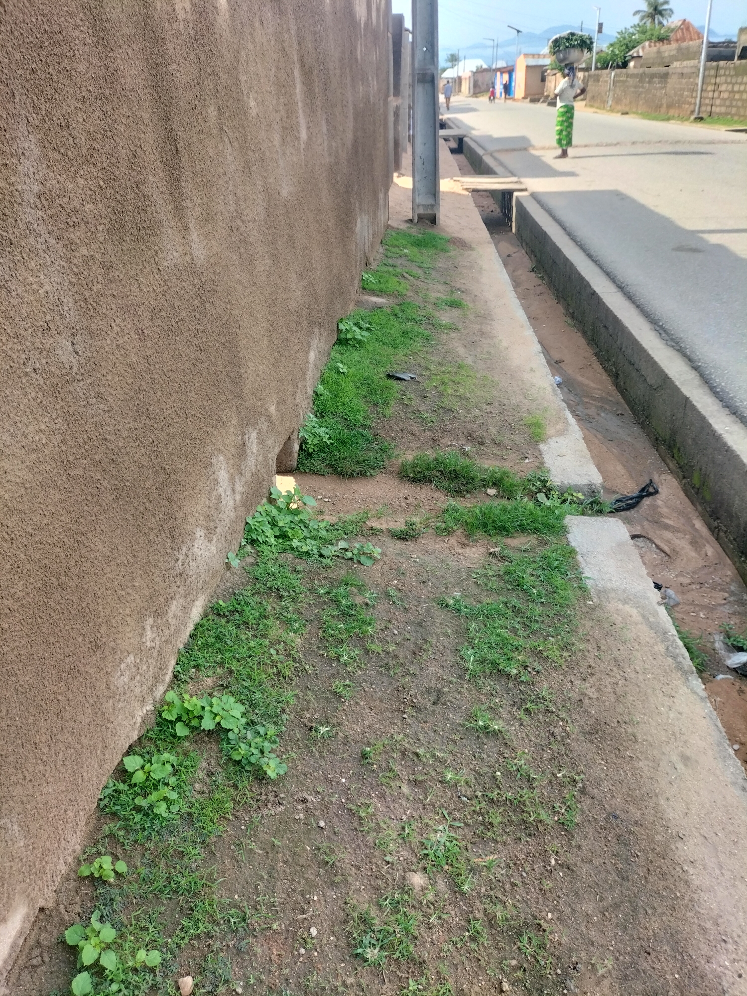 The image depicts a street scene in Jalingo, Nigeria. A textured, light brown wall runs along the left side of the frame, partially obscured by patches of green grass growing at its base. A narrow, concrete drainage ditch runs parallel to the wall, containing some muddy water and debris, including black plastic bags. Beyond the ditch, a paved road is visible. A woman dressed in a green and white patterned skirt and a white shirt, carrying a large bowl of white flowers on her head, walks along the right side of the road. In the background, other figures are visible walking on the road, and buildings line the street, with palm trees and power lines dotting the landscape. The sky is bright and clear.