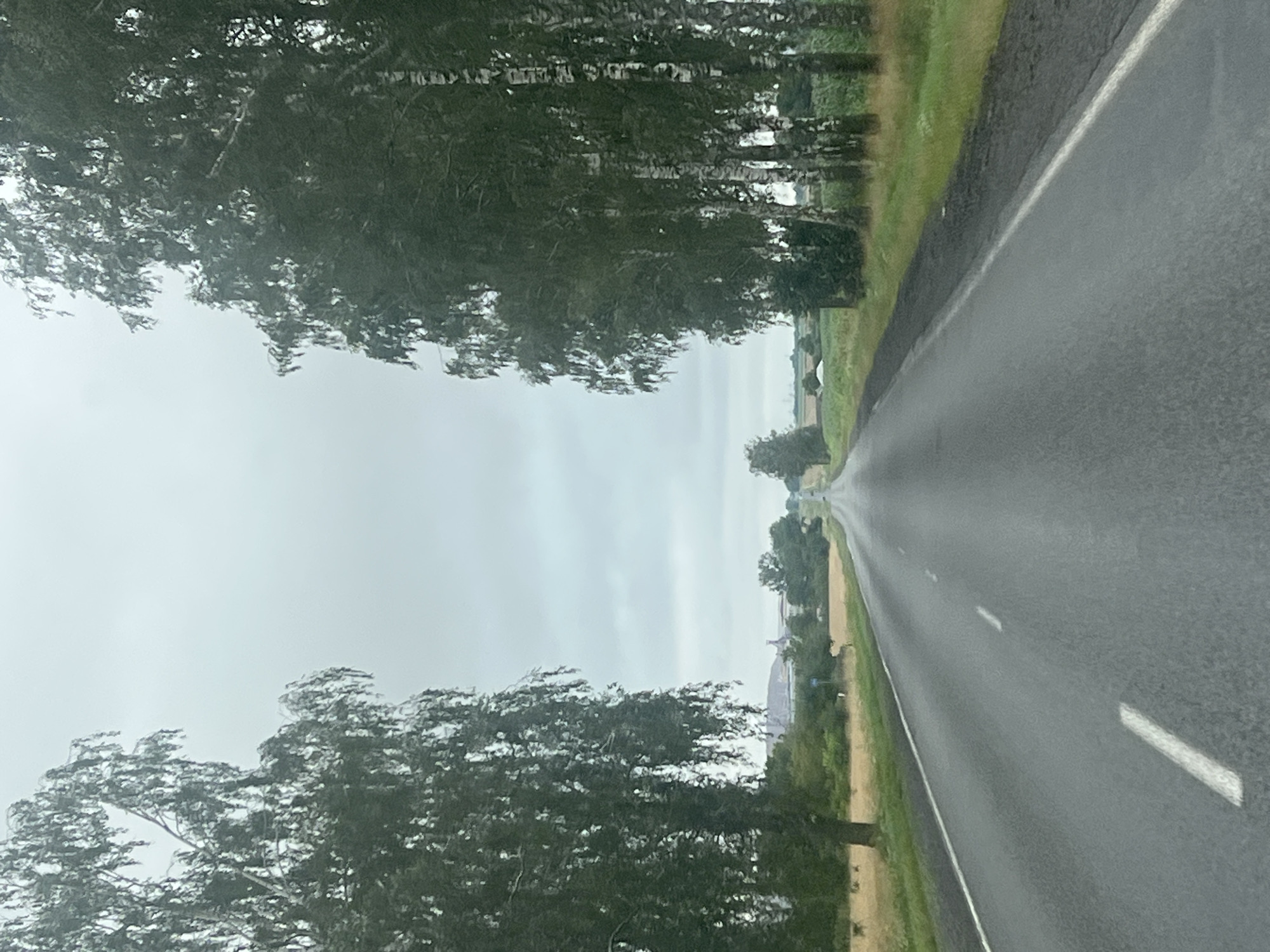 A slightly overcast, daytime, eye-level shot shows a paved two-lane road with a solid white line on the left and dashed white lines on the right, stretching into the distance. The road is flanked by rows of tall birch trees with dark bark and green foliage on both sides, creating a natural tunnel effect. Beyond the trees, to the left, are fields of dry grass and some green vegetation, with a few buildings visible in the far distance. To the right, beyond the trees, are more fields, including what appears to be a cornfield. The sky is a uniform light gray, indicating cloudy weather. The road surface appears wet, suggesting recent rain. The scene is devoid of any people or vehicles.