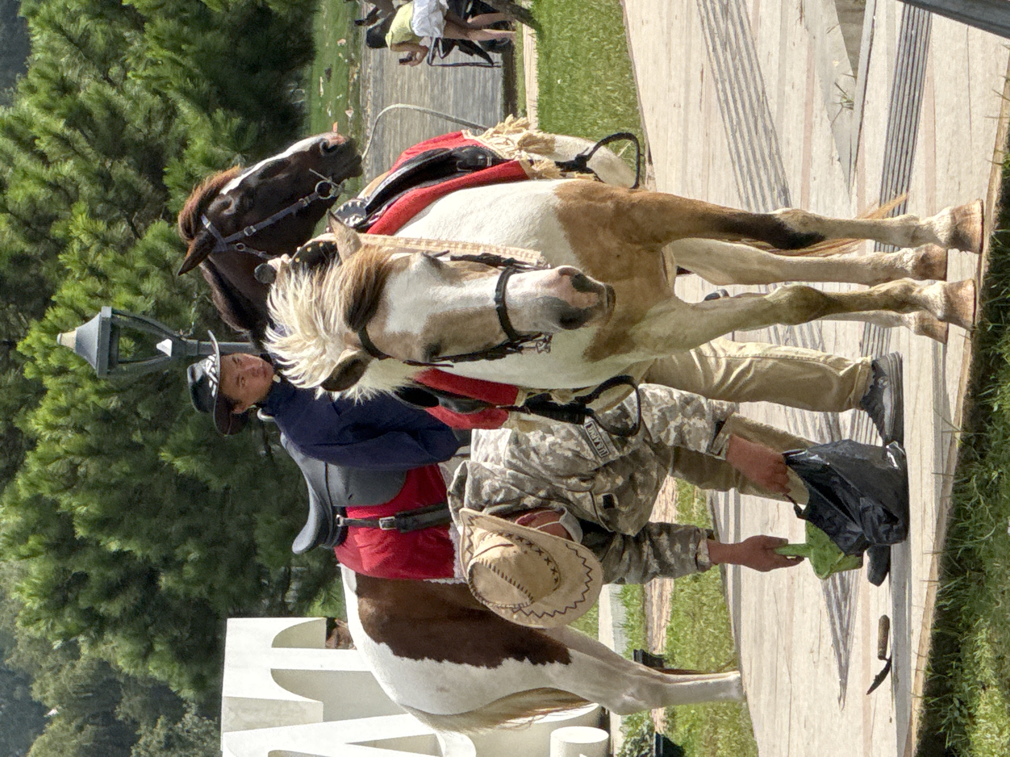 This outdoor daytime scene, likely in Da Lat, Vietnam, features two saddled horses and two people on a wooden walkway, with lush green trees and grass in the background.
In the foreground, a pinto horse with white and light brown patches, a light-colored mane, and a red-accented saddle stands facing right. Behind it, a dark brown horse with a white blaze on its face is partially visible. Both horses are bridled.
Two individuals are present. One person, positioned closer to the viewer, wears a camouflage uniform (ACU pattern) with "US ARMY" visible on the chest, light-colored pants, and a light brown cowboy hat. This person is standing on the wooden path, holding a black plastic bag in one hand and a green scoop-like object in the other, appearing to be engaged in a cleaning or preparatory task related to the horses. The second person, mostly obscured by the pinto horse, is wearing a dark blue jacket over red and white attire, along with a black hat, suggesting a rider or handler.
The setting includes a prominent light-colored wooden walkway, with bright green grass and dense trees filling the background. A large white architectural element with curved shapes is visible in the lower left foreground. Bright sunlight indicates a clear, sunny day. The scene suggests a recreational or tourist activity, possibly horse riding, common in areas like Da Lat.