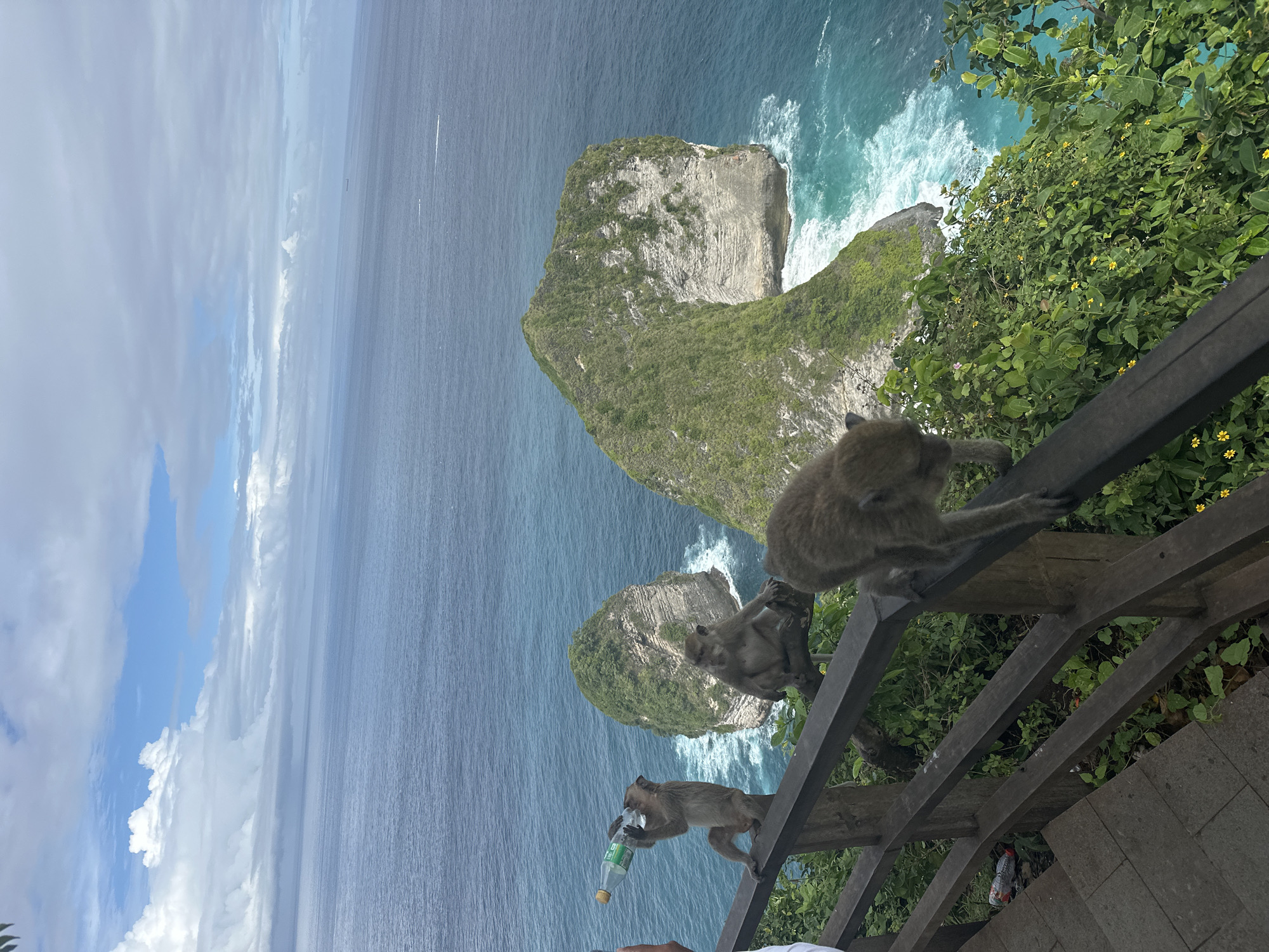 Captured from a high vantage point, the image reveals a coastal scene in Nusa Penida, Indonesia, where rugged cliffs meet the turquoise sea. On a wooden railing that borders a pathway, several monkeys are observed. One monkey is drinking from a clear plastic bottle, while others are perched on the railing or moving about. Dense green vegetation grows along the cliff edge, with views of the ocean and distant islands. The sky is partially covered with clouds, casting shadows on the water.