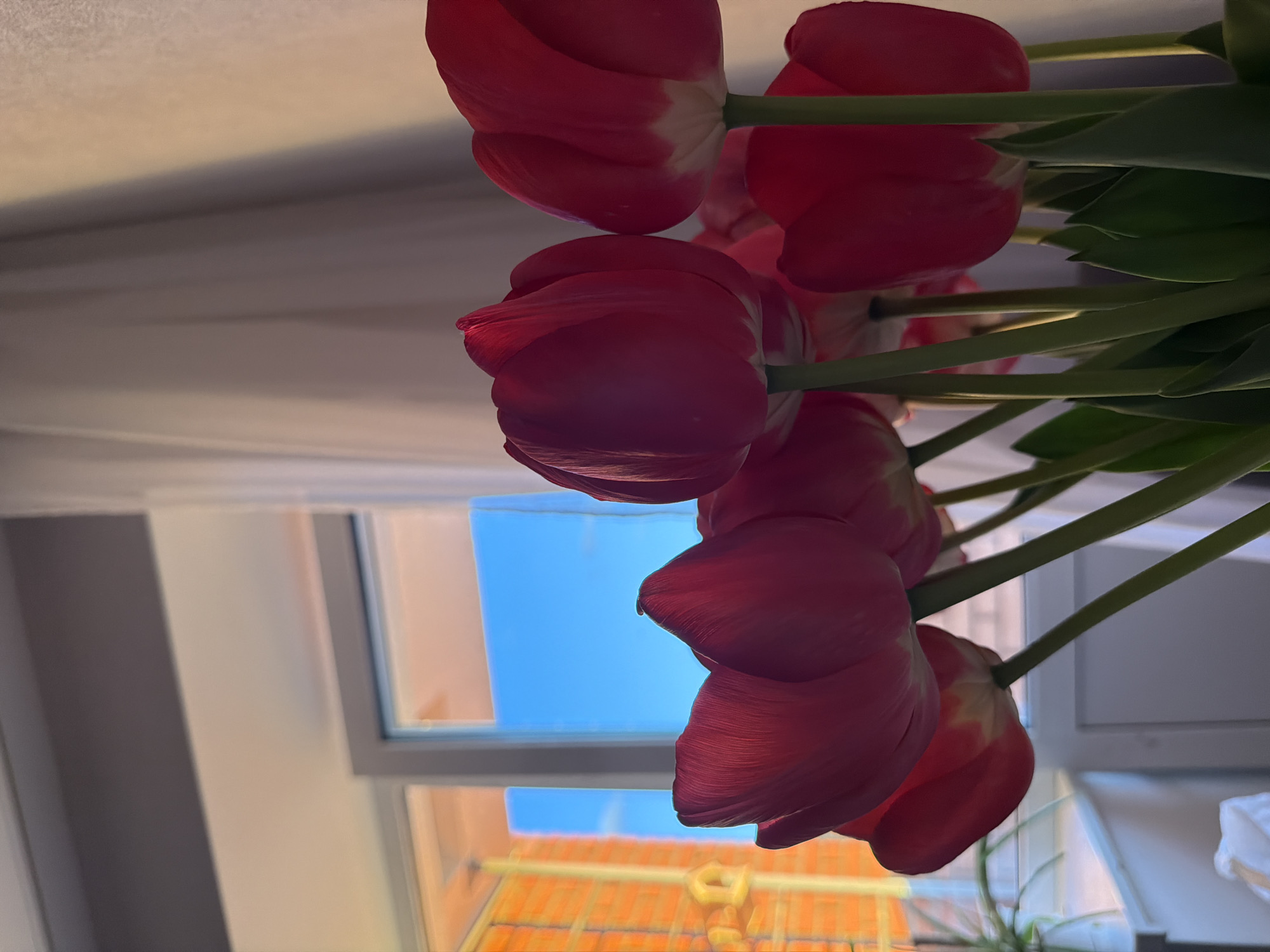 A photograph taken from a low angle looking up at a bouquet of red tulips with green stems and leaves. In the background, through a window, is a view of a blue sky and the roofs of buildings with orange tiles. The location cannot be determined from the image.
