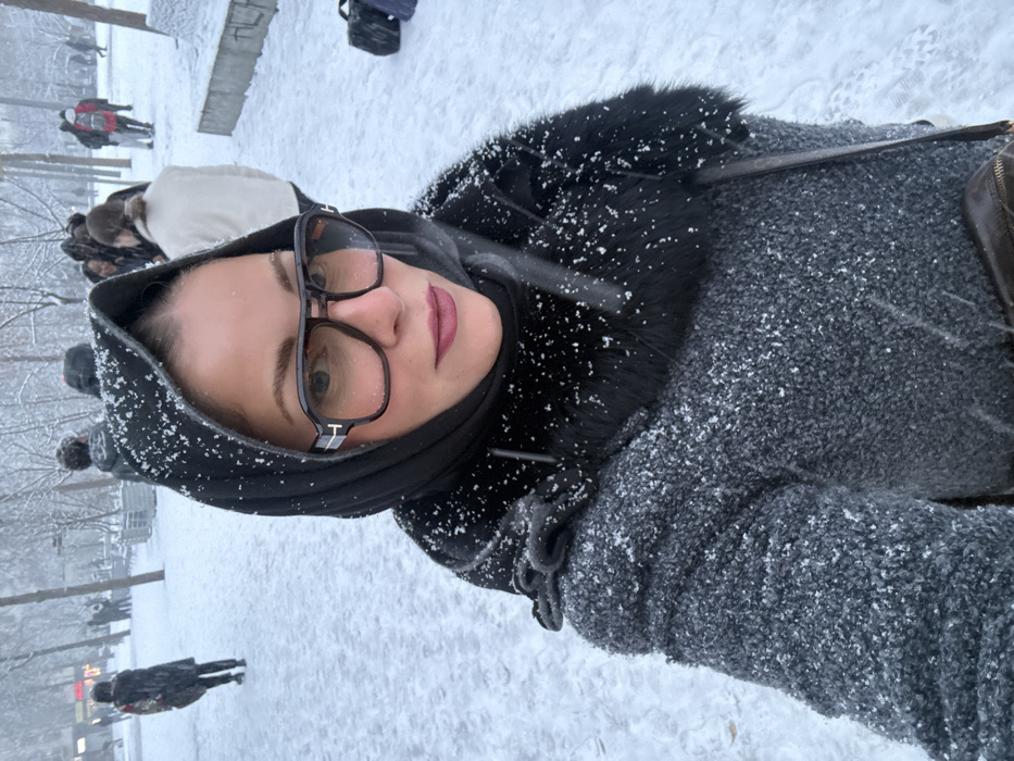 A woman wearing glasses and a hooded gray coat stands outside in falling snow. Snowflakes cover her coat, hair, and glasses. In the background, other people and trees are visible, blurred by the snow and distance. The scene depicts a cold, snowy day, likely in a park or public area.