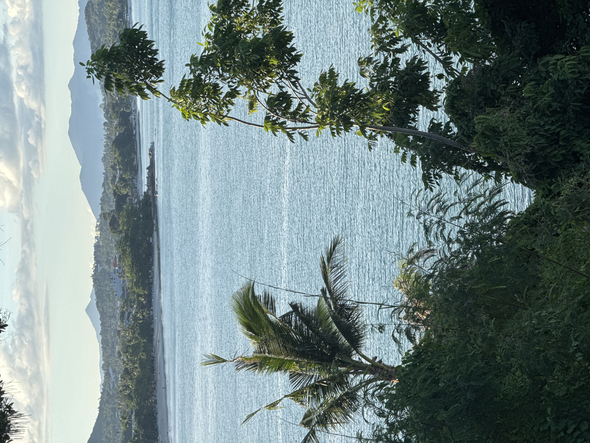 This is a vertical, eye-level, full-shot photograph of a tropical coastline. The scene is dominated by a large expanse of calm, light blue water, likely the ocean, which takes up the majority of the frame. Sunlight reflects off the water, creating a shimmering effect.
In the background, a long, narrow strip of land is visible, lined with lush green trees and dotted with buildings, suggesting a coastal town or resort. Behind the greenery, several large, hazy mountains rise, their peaks softened by distance and perhaps a light atmospheric haze. The sky above the land is a pale blue with scattered white clouds, particularly prominent on the left side of the frame.
In the foreground and mid-ground, a variety of dense green foliage obstructs parts of the view. On the left side of the frame, branches of a leafy green tree extend into the shot. On the right and lower portion of the image, a prominent palm tree with its characteristic fronds is visible, as well as more dense, dark green bushes and branches. These trees frame the water and the distant landscape, creating a sense of depth and a tropical atmosphere.
The lighting suggests it is daytime, possibly late afternoon or early morning given the soft sunlight. There are no people or specific objects clearly identifiable within the scene, apart from the natural elements and the distant structures. The overall mood is peaceful and serene, characteristic of a tranquil seaside vista. No text is visible in the image.