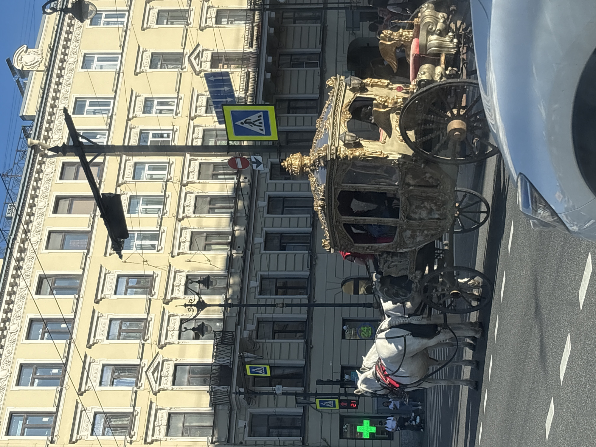 This detailed image captures an ornate horse-drawn carriage on an asphalt street in a central historic district of Saint Petersburg, Russia, under clear daylight.
The primary subject is a lavish, golden and cream-colored royal-style carriage pulled by two white horses. The carriage exhibits intricate gilded scrollwork, decorative carvings, and large dark spoked wheels. Two winged, golden figures are visible on the carriage's rear section, above a red upholstered seat. A person, possibly a coachman, wearing red attire, is seated within the carriage. The two white horses are equipped with red and white decorative harnesses and reins.
In the immediate foreground, the white hood and headlight of a modern vehicle are partially visible on the right, suggesting the photograph was taken from within or directly beside a car.
The background is dominated by a grand, multi-story building with a light yellow facade. This structure features numerous windows, each adorned with prominent white decorative cornices and frames, and a detailed frieze running along the upper levels, characteristic of 19th-century Saint Petersburg architecture.
The street itself is paved with asphalt and marked with white dashed lane lines. Various street fixtures are present, including a tall black lamppost with multiple light fixtures, and utility poles carrying overhead wires. Several traffic signs are mounted on poles: two blue square signs indicating a pedestrian crossing (white walking figure), a circular red "no entry" sign, and a blue rectangular sign with white arrows indicating directions. A traffic light on the left displays the number "21" in red. Adjacent to the traffic light, a prominent green cross symbol, typically denoting a pharmacy, is visible, along with a sign displaying "24 часа" (24 hours) in Cyrillic.
On the sidewalk to the left, several pedestrians are visible, including a man in a white t-shirt, a woman, and a person pushing a stroller. The scene is brightly lit by the sun, casting distinct shadows on the street and subjects.