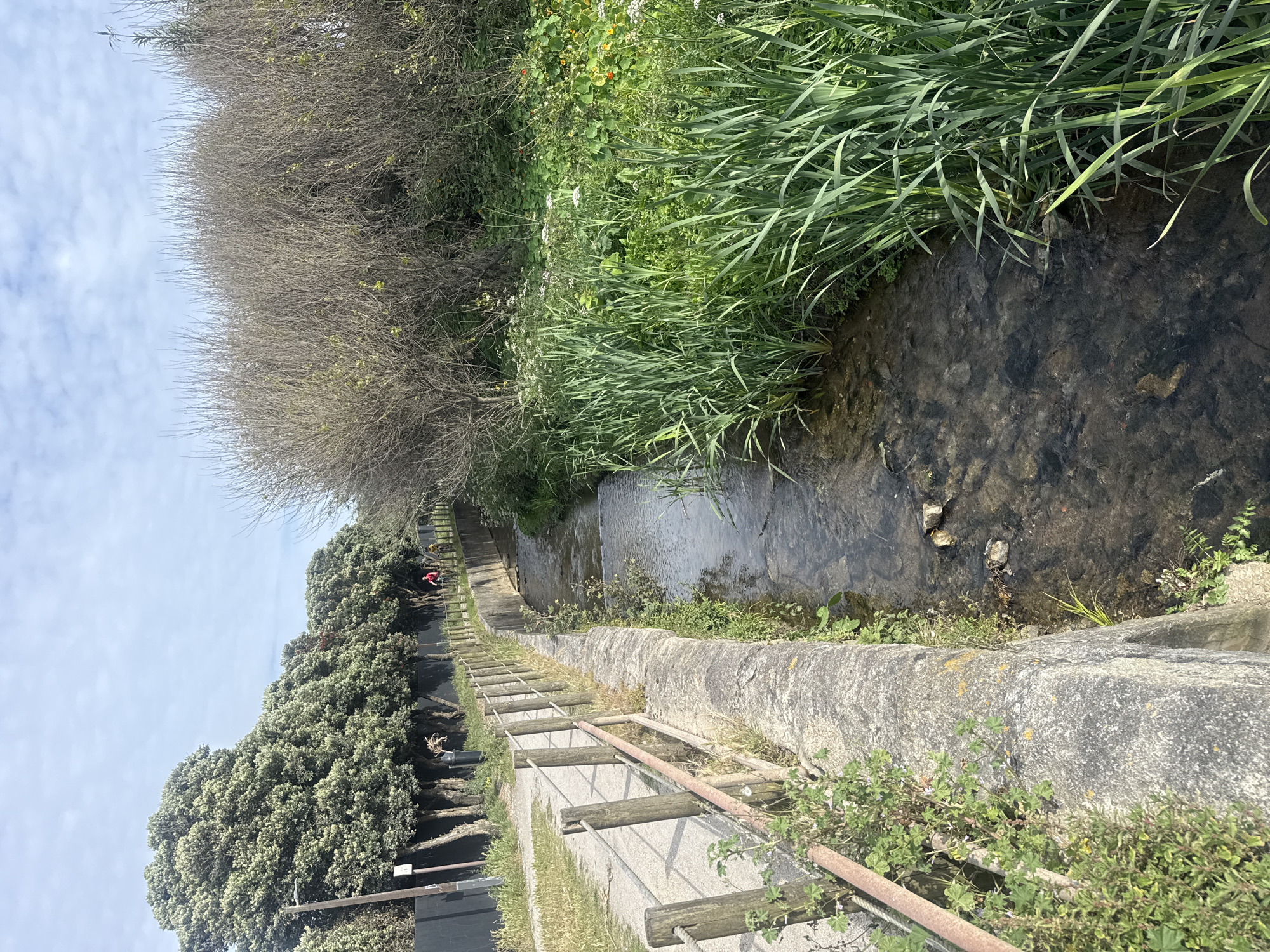 The image depicts a concrete canal with flowing water, situated near Vila Nova de Gaia, Portugal. The canal is lined with stone walls and overgrown vegetation on both sides, including grasses, bushes, and trees. A metal and wooden safety railing runs along one side of a concrete path alongside the canal. A person in red can be seen walking in the distance. The sky is visible with scattered clouds.