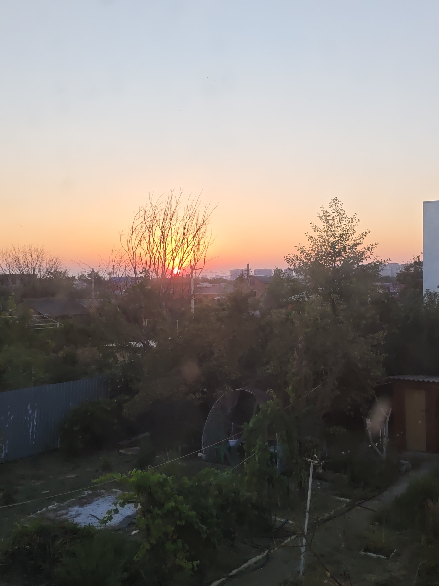 The image depicts a suburban landscape at sunset, likely in Rostov-on-Don, Russia. The sky displays a gradient of colors, transitioning from a pale blue at the top to a warm orange and pink hue near the horizon, indicating the setting sun. Silhouetted against this sky are the bare branches of a deciduous tree in the foreground, with the sun partially obscured by its limbs, creating a radiant glow. Behind this tree, a denser cluster of green foliage and trees forms a mid-ground layer.
Further in the background, a collection of low-rise buildings, characteristic of a residential area, can be seen. These structures include houses with visible rooftops and possibly some apartment buildings in the distant cityscape. A grey corrugated metal fence runs along the left side of the frame, bordering a patch of land that appears to be a garden or yard. Within this area, there are some scattered objects, including what looks like a piece of white material on the ground and a dark, arched structure, possibly a small greenhouse or shelter.
To the right, a small wooden structure with a brown door is visible, alongside a paved or dirt path. The overall scene conveys a sense of quiet evening in a semi-rural or suburban setting, with the natural beauty of the sunset dominating the upper portion of the image. There are no visible people or active events taking place; the image captures a static, observational view. The lighting suggests it is either early morning or late evening.