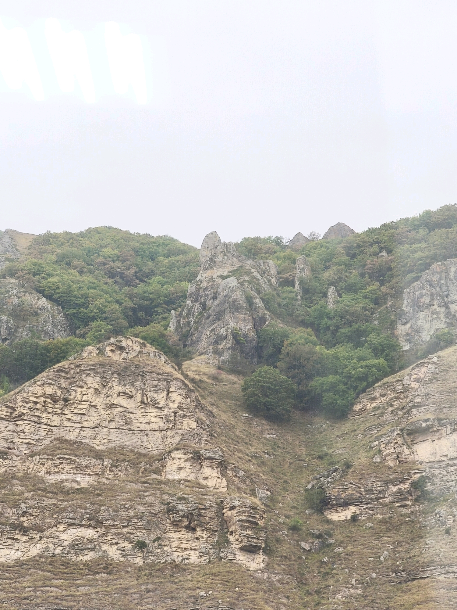 The image displays a rocky mountainside covered in green vegetation and trees. The sky is overcast and bright, obscuring the upper portion of the image. The foreground features rough, layered rock formations with dry grass and sparse vegetation. The mountainside slopes upwards, revealing a mix of sheer rock faces and areas with denser foliage, primarily green trees and shrubs. The overall scene depicts a natural, rugged landscape characteristic of mountainous regions. The location is identified as Karachayevsk, Russia.