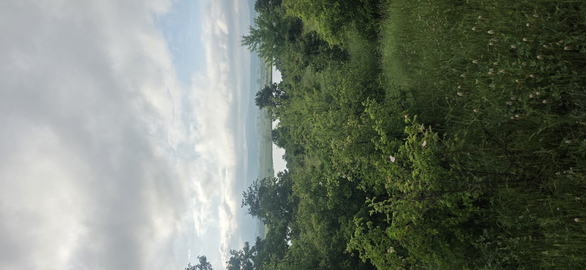 The image depicts a landscape view from an elevated position, potentially a hill or cliff, in or near Esen, Bulgaria. The sky is cloudy with varying shades of gray and light blue. In the distance, possibly over a valley or a lake, there are light-colored patches. The foreground features lush green vegetation, including trees, bushes, and tall grass. Some of the bushes have small white or light pink flowers. The picture is oriented vertically, which changes the perspective.