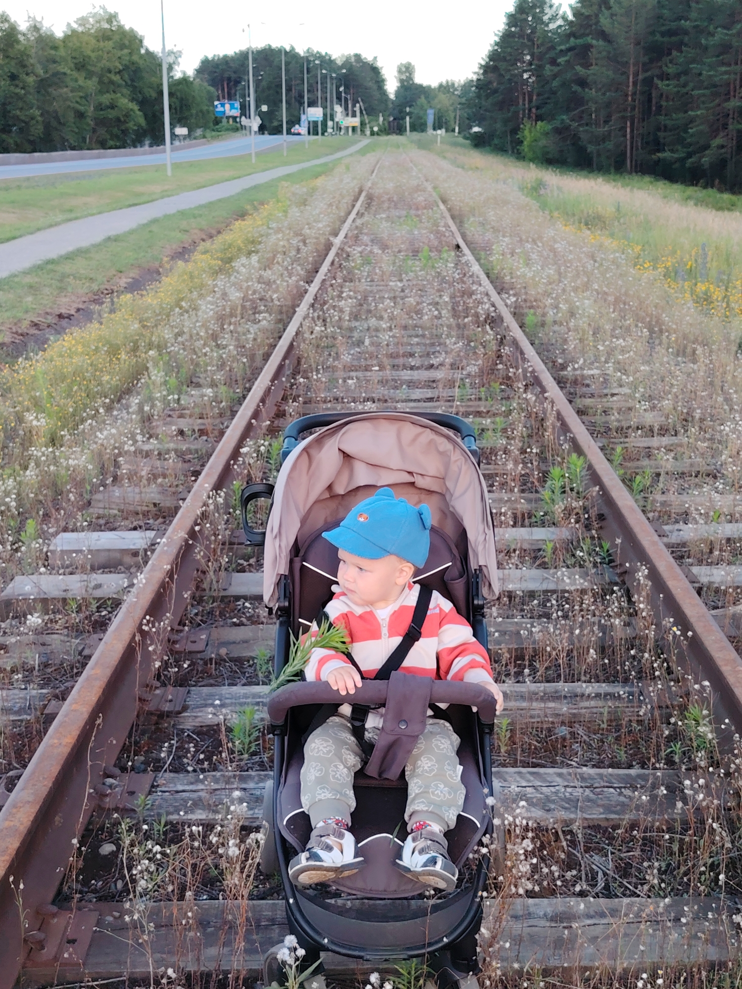 In a medium shot, a baby is seated in a stroller positioned on a disused railway track. The baby, wearing a blue cap and a striped shirt, looks to the left of the frame, holding a small bouquet of wildflowers. The stroller is dark brown with a beige interior and has a dark brown strap holding the baby in place. The baby is also wearing light green pants with a floral pattern and sandals.
The railway tracks are old and weathered, with rusty rails and wooden sleepers overgrown with dry grass and small white and yellow wildflowers. The tracks recede into the distance, creating a strong perspective line. To the left of the tracks, a paved pathway runs parallel to the train tracks, bordered by a grassy verge. Further left, a road with streetlights is visible, with trees lining the horizon. To the right of the tracks, a dense forest of pine trees stands tall.
The lighting suggests it is late afternoon or early evening, with a soft, diffused light that casts few shadows. The overall mood of the image is serene and slightly melancholic, evoking a sense of nature reclaiming abandoned infrastructure. There is no visible text in the image. The setting appears to be rural or semi-rural, on the outskirts of Chaikovsky, Russia. The activity taking place is simply the baby sitting in the stroller on the tracks, perhaps during a leisurely outing.