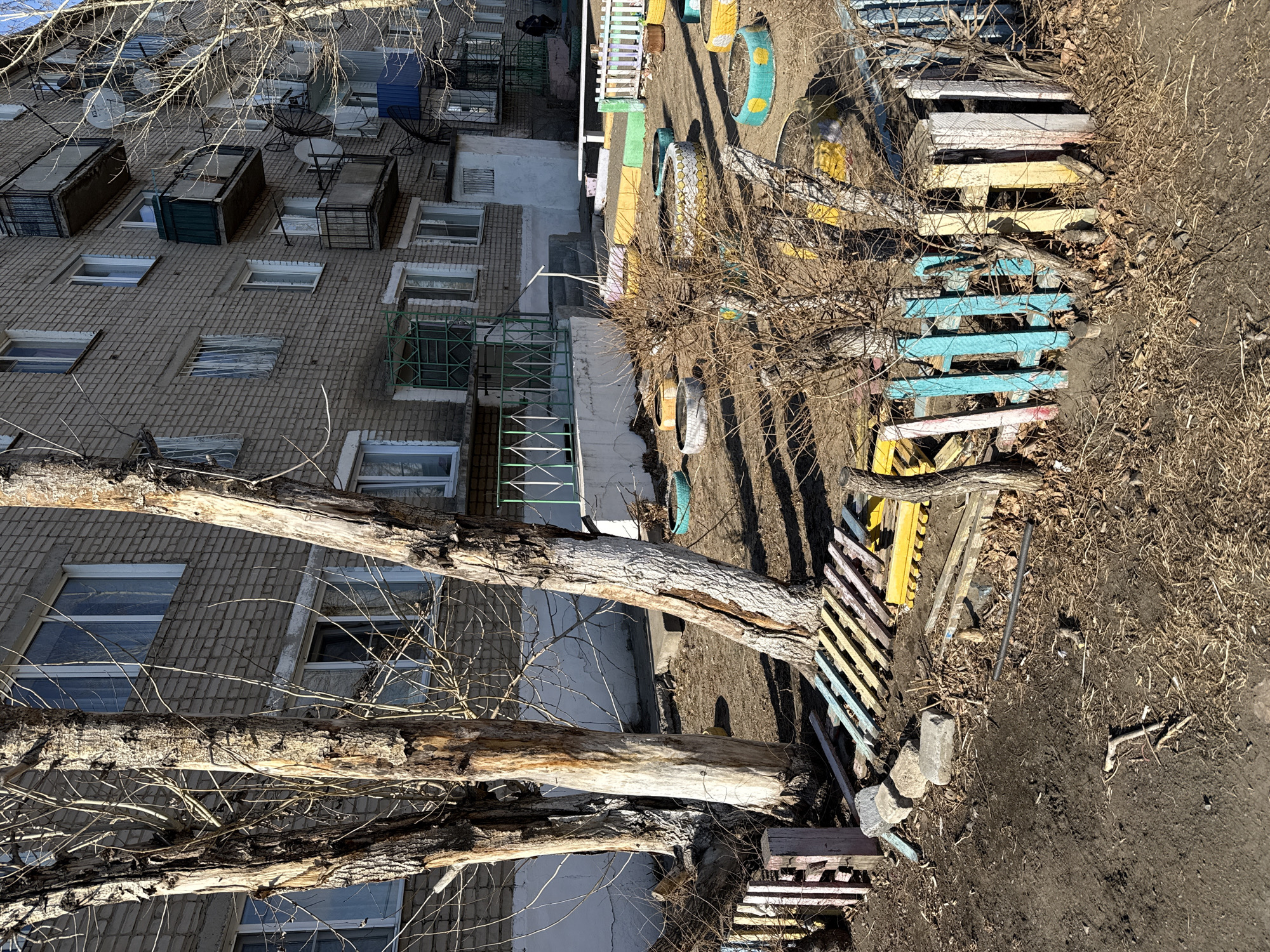 The image shows a view from above, likely a high vantage point, of a courtyard area adjacent to an apartment building in Borzya, Russia.
The apartment building is constructed of gray brick and has multiple floors, each with several windows and some with satellite dishes. There are small balcony structures.
The courtyard contains elements of a children's playground. There are painted tires. There are several sections of painted wooden fences/barriers, partially obscured by fallen branches and dry leaves, that are in disrepair.
A large, bare tree trunk and branches dominate the foreground, partially obscuring the view. There are several sections of broken pallets. There is dry vegetation and bare earth. There are no people visible in the immediate foreground, but a blurry figure appears in the background.