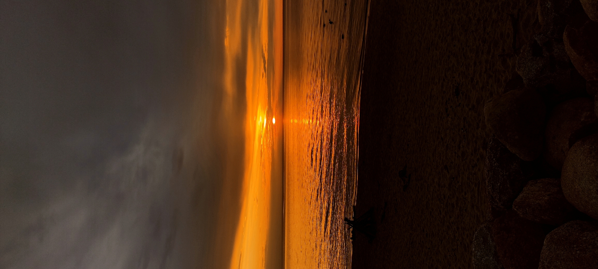 The image captures a sunset scene over a body of water in Zelenogradsk, Russia, likely the Baltic Sea. The sky is divided horizontally: the upper half is overcast with dense, dark grey to brownish-grey clouds, while the lower half, closer to the horizon, glows intensely with vibrant orange and yellow light from the setting sun. The sun itself is visible as a distinct, bright orange disc positioned just above the horizon line, casting a prominent reflection path across the water. The water surface, extending from the horizon to the foreground, mirrors the sunset's fiery colors, appearing as a shimmering expanse of orange with subtle ripples. In the midground, a dark sandy beach stretches along the shoreline. On the left side of the beach, near the water's edge, a dark, silhouetted accumulation of what appears to be driftwood or tangled roots is present. The immediate foreground consists of several large, dark, irregularly shaped rocks or boulders, partially embedded in the sand or at the base of the beach. No individuals or man-made structures are discernible in the frame.