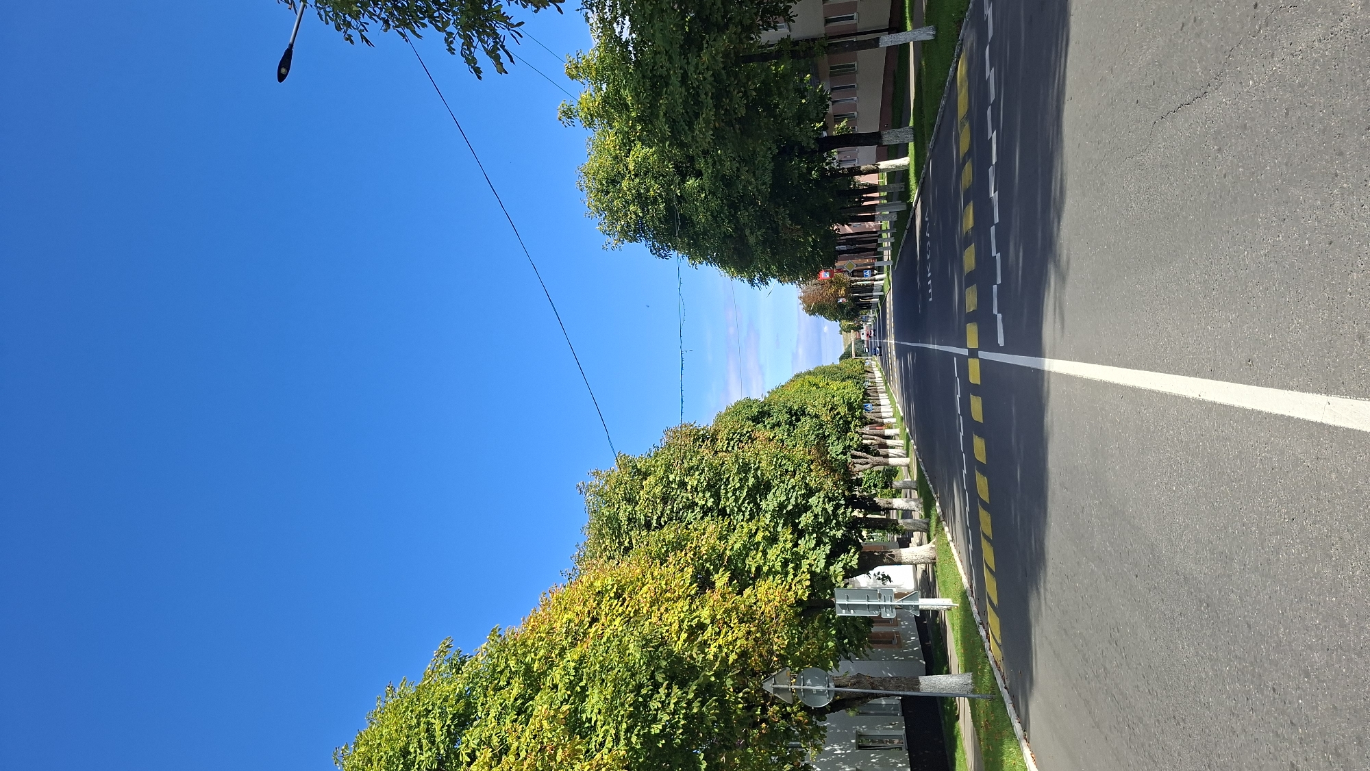 This is a vertical, eye-level shot of a tree-lined street in Myadzyel, Belarus. The street is paved with asphalt and has a white painted line dividing the two lanes. Yellow and white striped pedestrian crossings are visible on the road. On the left side of the street, there are houses and trees with green and yellowing leaves. On the right side, there are also houses and trees with green leaves. The sky is clear and blue. There are no people or vehicles visible in the immediate foreground. In the distance, several vehicles are driving down the street, and there are also buildings and trees visible. The overall scene suggests a quiet, possibly suburban or town setting on a sunny day.