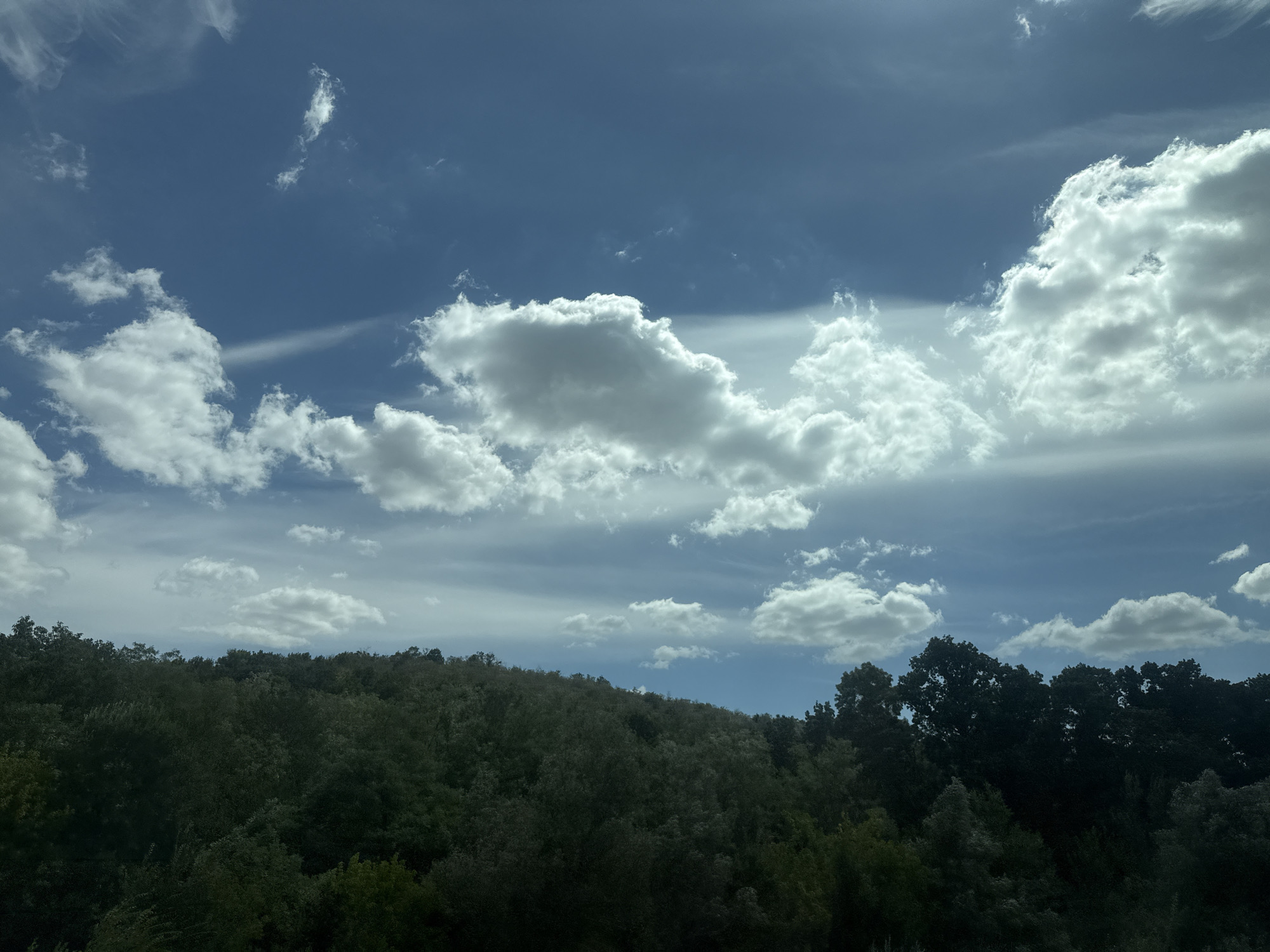 The image shows a view of a forested hillside under a blue sky with scattered white clouds. The trees are dense and appear to be deciduous, with varying shades of green and dark foliage. The hillside slopes upwards from the bottom of the frame, with the tree line forming a distinct horizon against the sky. The clouds are fluffy and varied in size and density, with some appearing as wispy cirrus and others as larger cumulus formations. The lighting suggests it is daytime, possibly late morning or early afternoon, with sunlight illuminating the clouds from above and to the right. There are no visible people, buildings, or man-made objects in the scene. The location is identified as the city of Răzeni, Moldova.