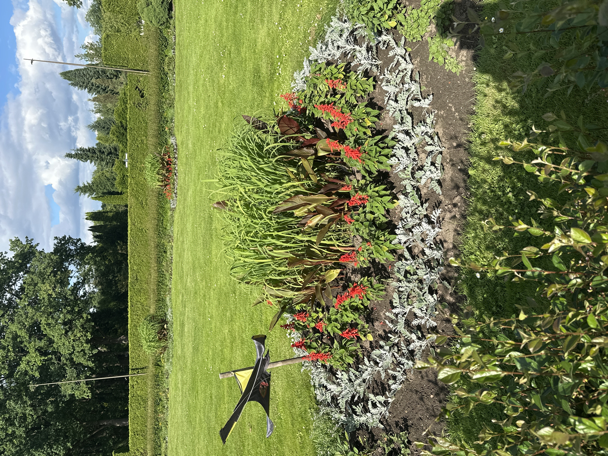 An outdoor medium shot captures a vibrant garden scene on a sunny day. In the foreground, lush green bushes with delicate leaves are illuminated by sunlight, casting shadows on the meticulously mowed grass. Behind them, a circular flower bed bursts with color. Tall, bright red flowers stand prominently in the center, surrounded by silvery-grey, feathery foliage. Behind the flowers, a cluster of tall, slender green grasses adds texture and height. To the left of the flower bed, a weathered wooden pole supports a black and yellow object resembling a stylized bird with outstretched wings, possibly a scarecrow or decorative element. The background features a neatly trimmed, dark green hedge that stretches horizontally across the frame. Beyond the hedge, a line of diverse trees, including evergreens and deciduous varieties, forms a natural backdrop. The sky above is a bright blue, adorned with fluffy white clouds. The overall impression is one of a well-maintained and picturesque garden environment.