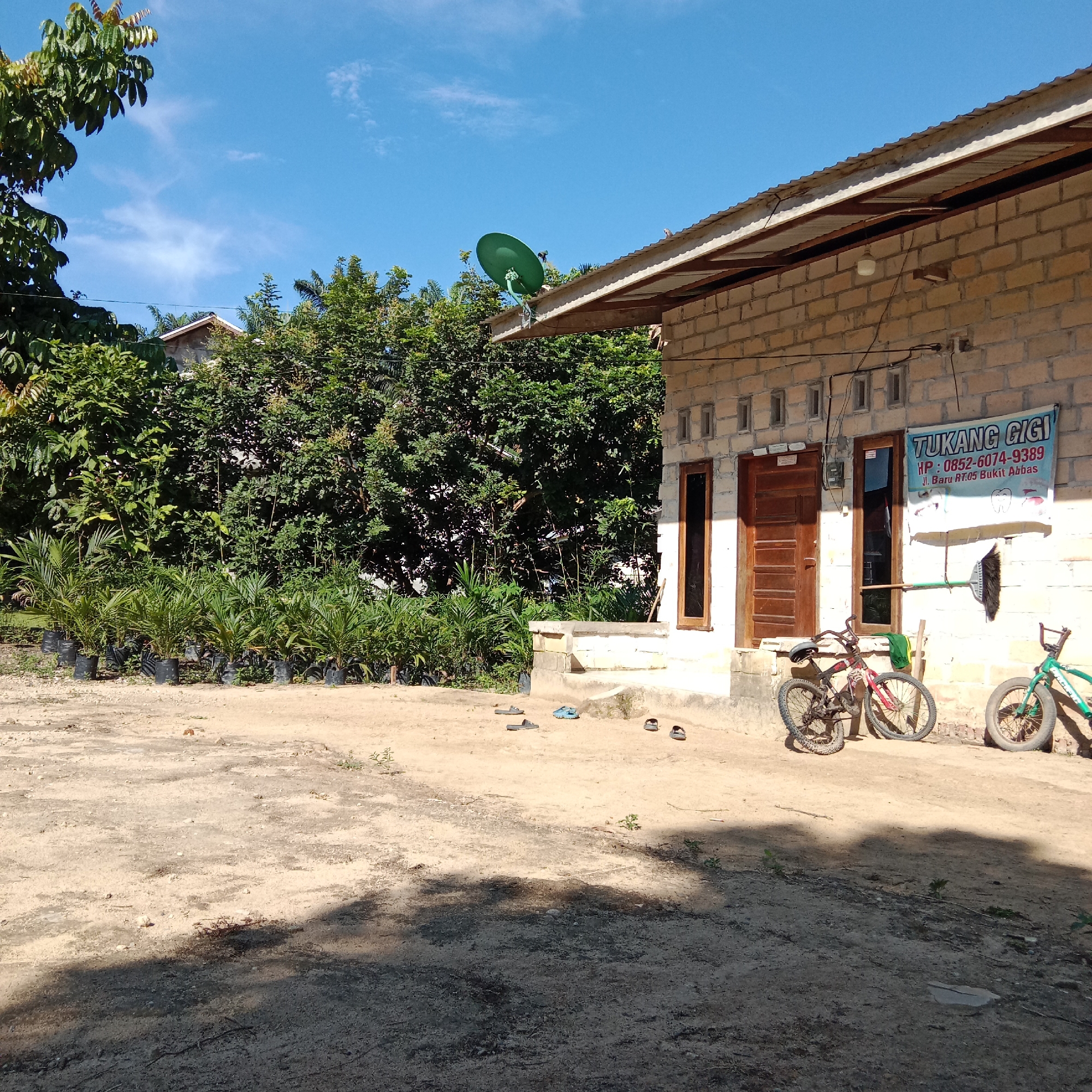 In an outdoor scene in an unknown location in Indonesia, a single-story building with light-colored brick walls and a corrugated metal roof is visible. The building appears to be a dental clinic, as indicated by a sign that reads "TUKANG GIGI" (Dentist) along with a phone number and address. To the left of the building, a row of young palm trees in black plastic pots are arranged in front of a dense line of larger trees and foliage. The ground in front of the building is dirt and sand, with scattered shadows cast by the building and trees. Several pairs of sandals are lying on the ground near the building's entrance. Two bicycles are leaning against the wall of the building; one is red and black, and the other is green. A broom and dustpan are also propped against the wall near the bicycles. A green satellite dish is mounted on the roof of the building. The sky above is clear blue with a few wispy white clouds.