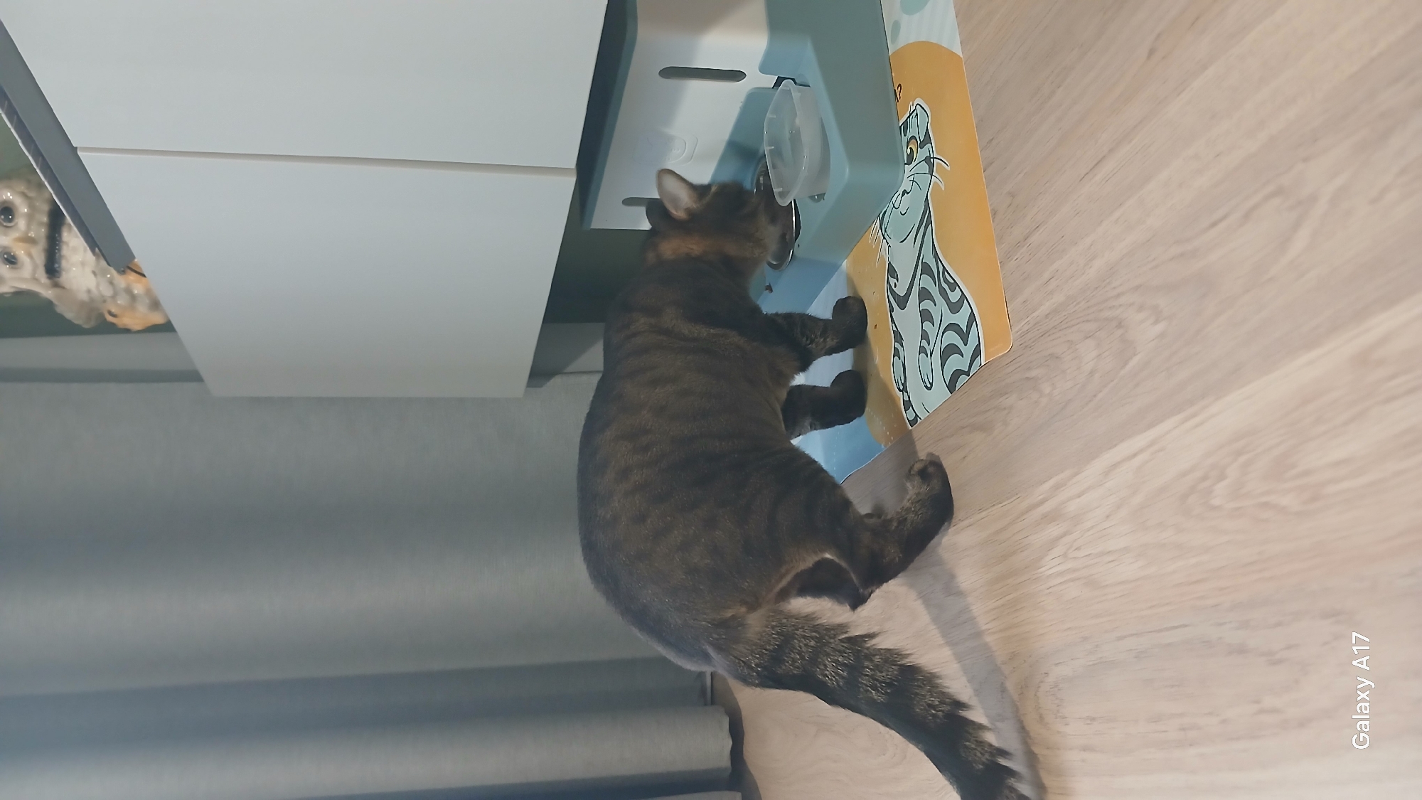 A brown tabby cat is shown reaching into a blue and white pet food dispenser, possibly located in a residential setting. The dispenser is mounted on a wall or structure next to a white cabinet. The floor is light brown and made of wood. The photo was taken with a Samsung Galaxy A17 mobile device. There is no visible information to confirm a specific location in Yekaterinburg, Russia.