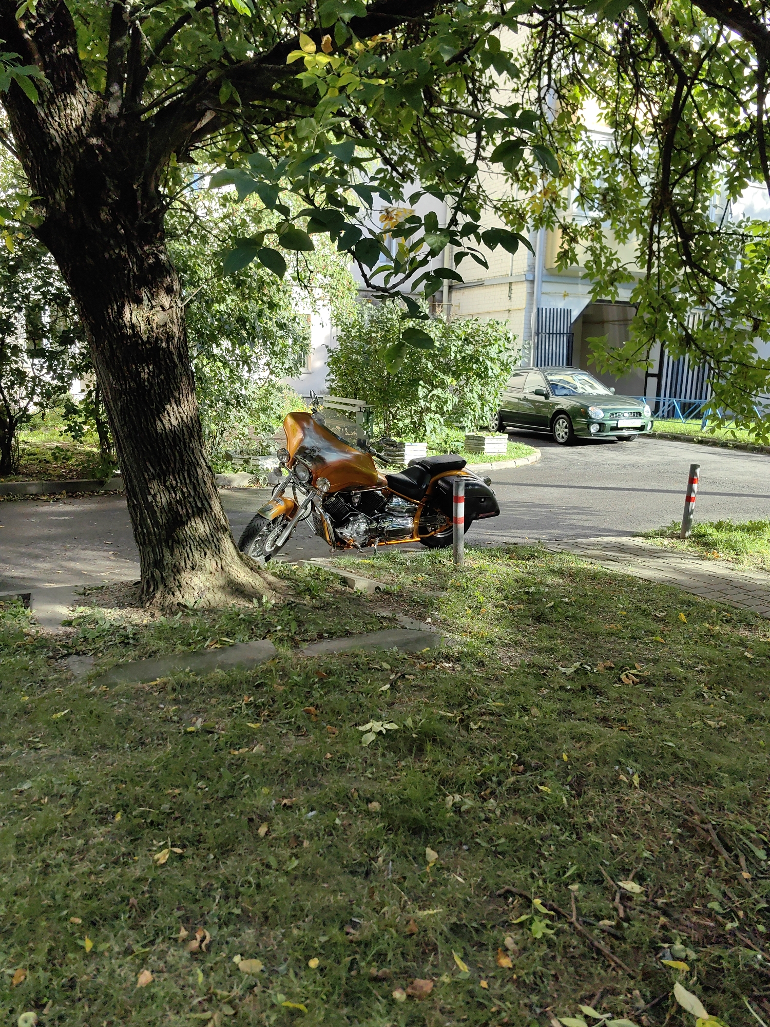 An outdoor, eye-level, wide shot shows a park area with a tree and a motorcycle. The tree is in the foreground, to the left. Its trunk is thick and rough with dark bark, and its branches extend overhead, covered in green leaves. The motorcycle is parked to the right of the tree, angled towards the right side of the frame. It is orange with black saddlebags and chrome accents. Behind the motorcycle, a paved road curves to the right, and a green car is visible on the road. The area around the tree and motorcycle is covered in grass with scattered fallen leaves. In the background, a building with white brick and some windows is visible through the trees. The scene appears to be in a residential area, possibly a courtyard or park within the city of Minsk, Belarus, given the presence of a parked car and building in the background. There are no people visible in the image.