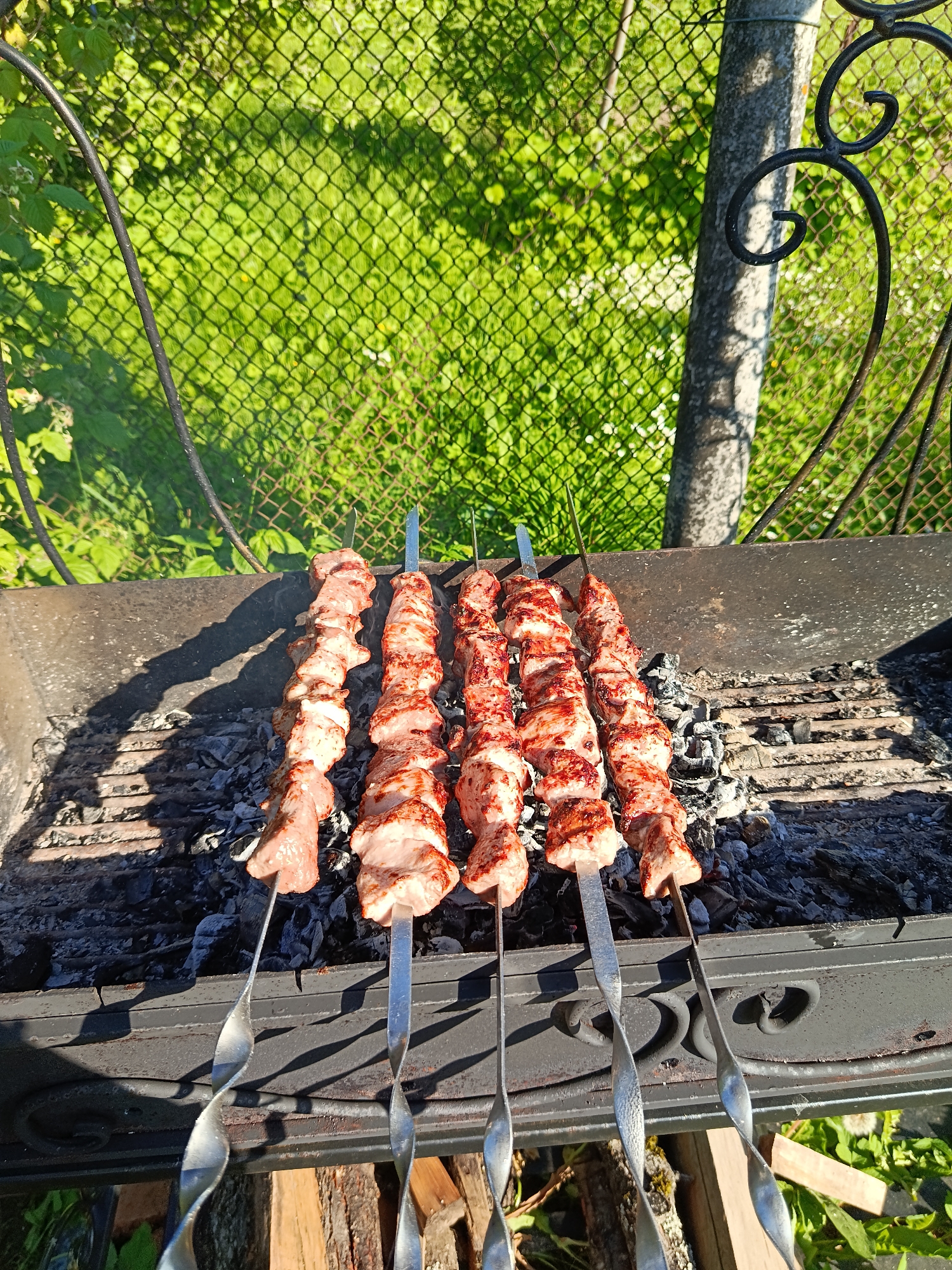 In Shishkin Les, Russia, a close-up shot shows five skewers of raw meat cooking over hot coals on a black metal grill. The meat is cut into bite-sized pieces and threaded onto metal skewers. The grill is placed outdoors, with a green, leafy background visible through a chain-link fence. Sunlight casts shadows from the grill and skewers onto the ground. The environment suggests a casual outdoor cooking setting.