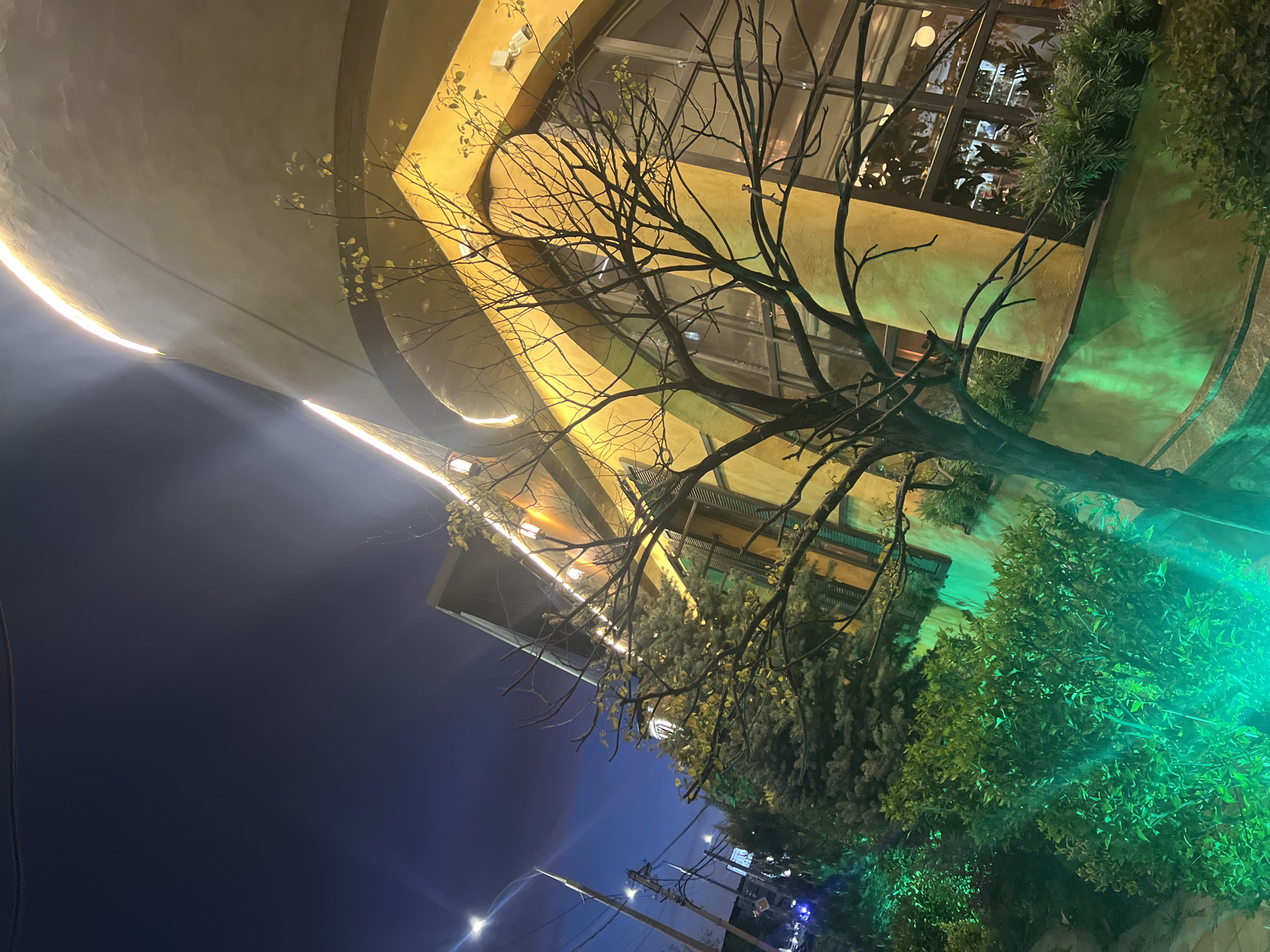 The image shows an exterior view of a building at night. The architectural design incorporates curved surfaces and illuminated edges, creating a modern aesthetic. A bare tree stands in front of the building, its branches silhouetted against the lighted structure. Green shrubbery adds contrast to the scene. In the lower part of the frame, street lights and utility poles suggest an urban setting. The image is taken in Krasnodar, Russia.