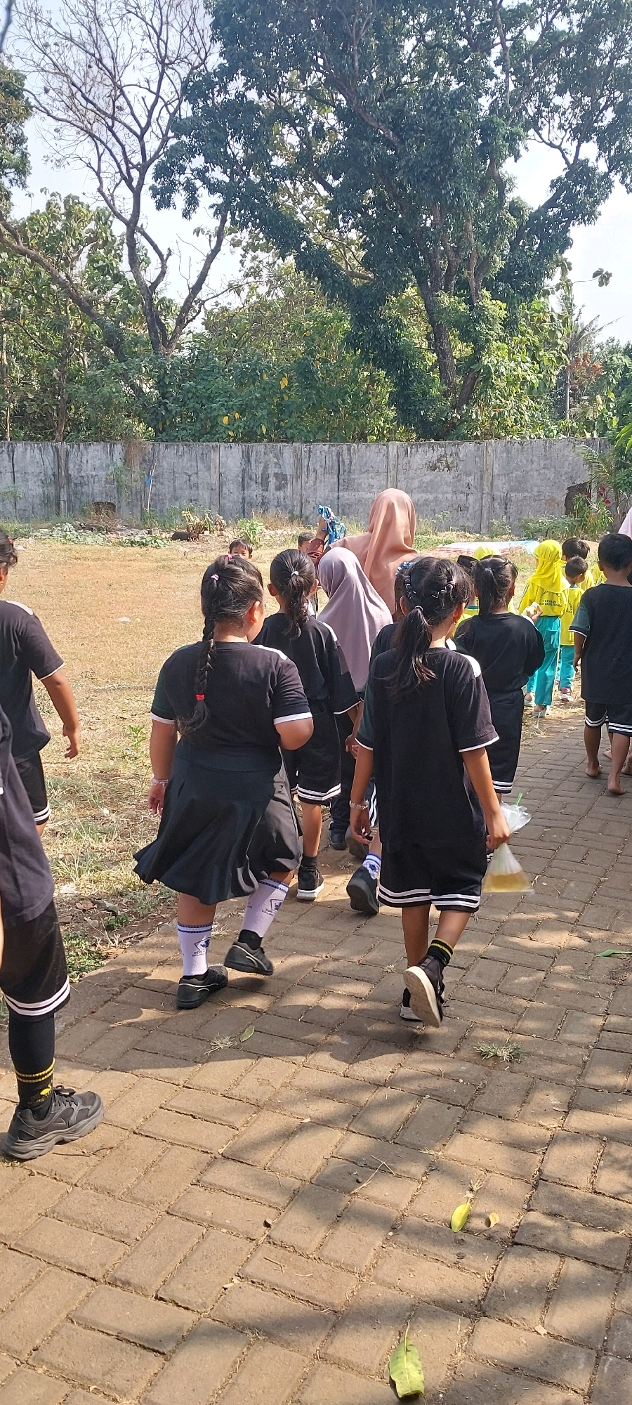 In the city of Keling, Indonesia, a group of children in black uniforms with white trim are walking on a brick pathway. Some of the children are wearing white socks with blue trim. The children are walking away from the camera, towards a grassy field bordered by a concrete wall and lush green trees. A woman wearing a light brown hijab is walking behind some of the children. The scene appears to be outdoors, under a clear sky, with sunlight casting shadows on the pathway and grass. The children are likely participating in an outdoor activity or event.