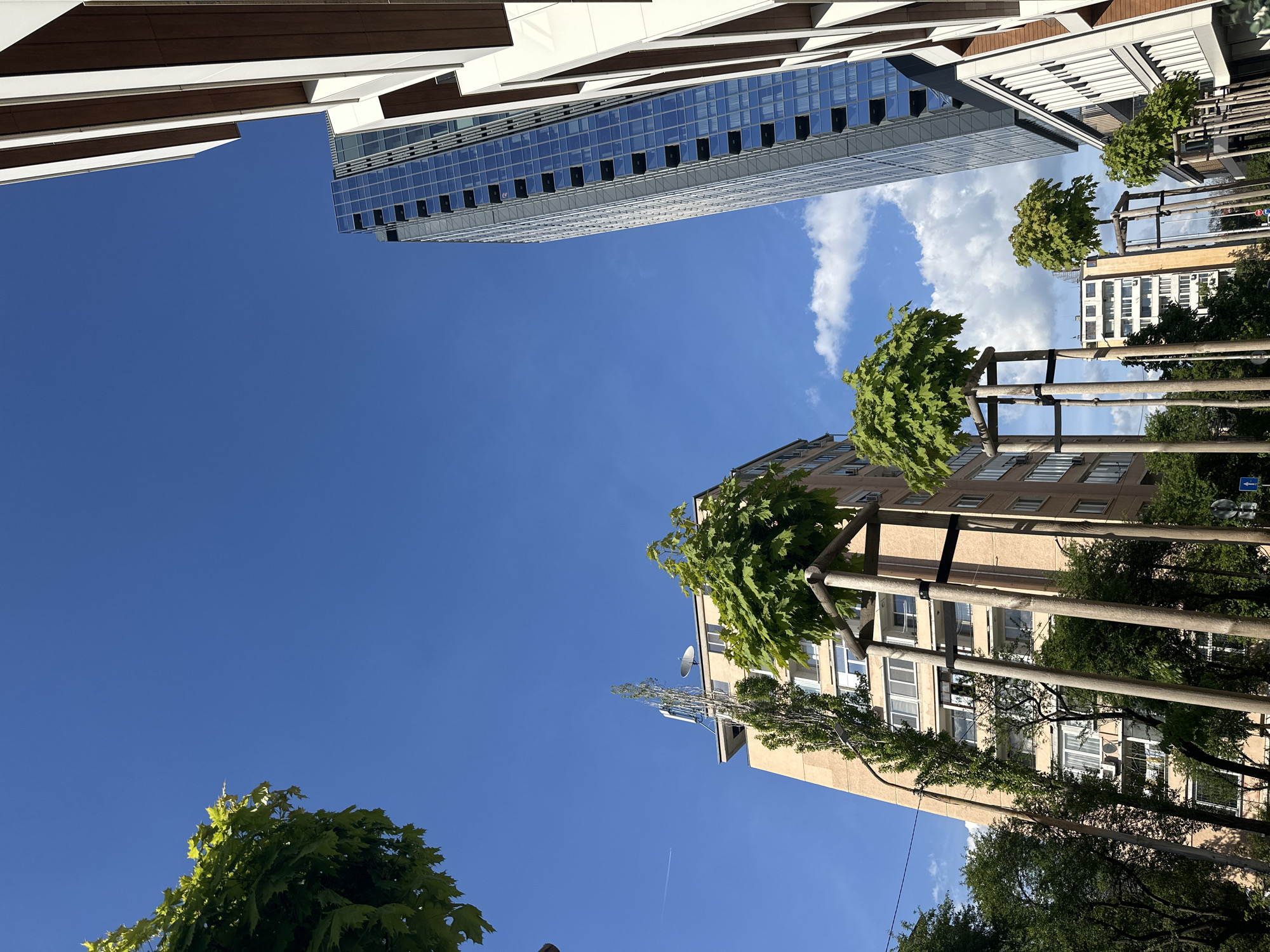 The image is a low-angle shot taken in Sofia, Bulgaria, looking up at several buildings and the sky. The sky is mostly clear and blue. In the top left is a modern white building with brown accents, and to the right of it is a tall glass building with several rectangular windows. Towards the right, a beige building is visible with multiple windows, and several trees are present, held up by a support structure. The scene is lit with sunlight.