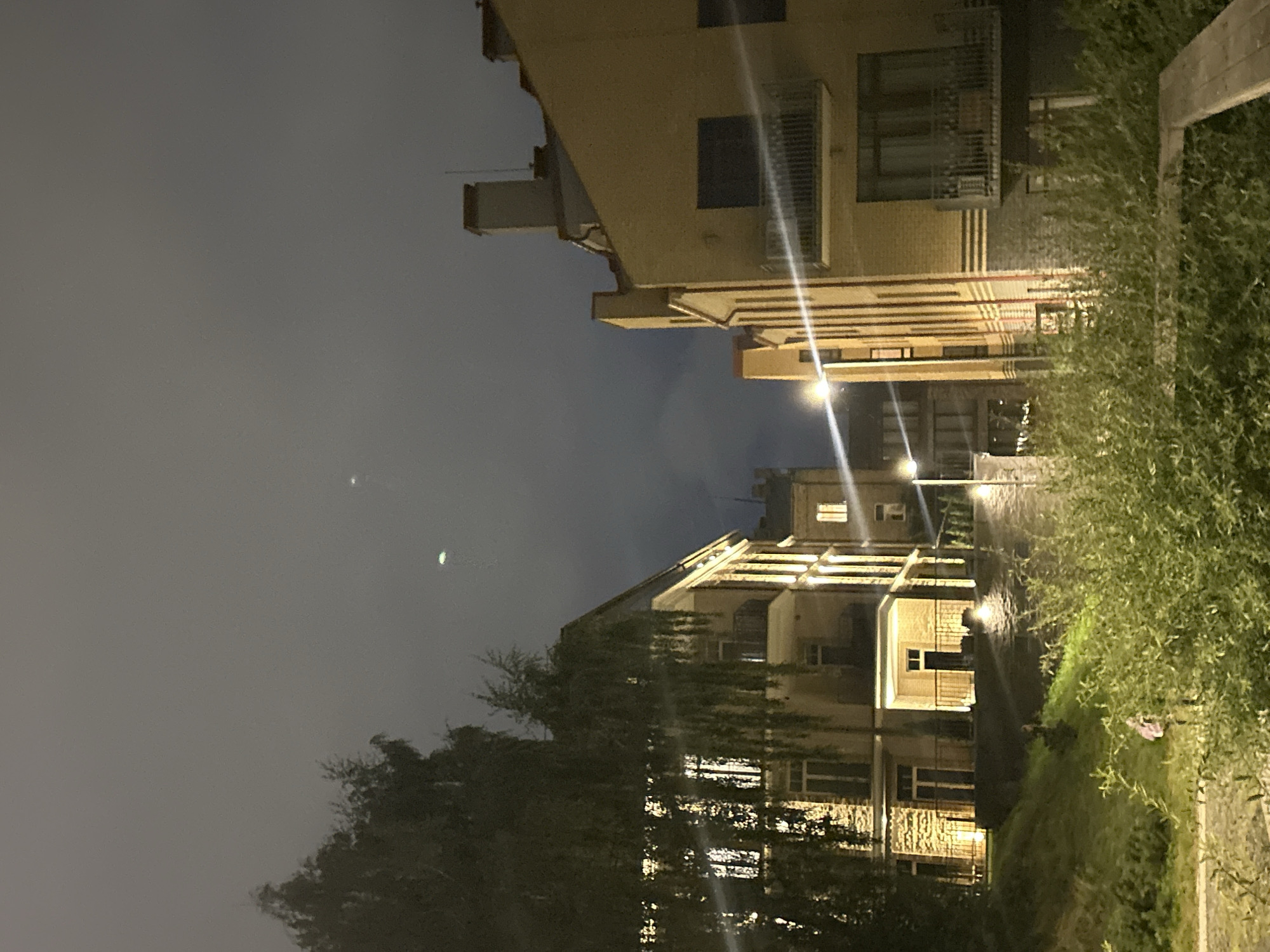 The image depicts a nighttime view of two apartment buildings in Vilnius, Lithuania, with lush green foliage in the foreground and a dark, overcast sky above. The building on the left is a multi-story structure with lit windows and a stone facade, partially obscured by a large tree with hanging branches. The building on the right is a yellow brick structure with balconies and lit windows, featuring a prominent chimney. A street lamp casts a bright beam of light diagonally across the scene. The overall impression is one of a residential street in a European city at night.