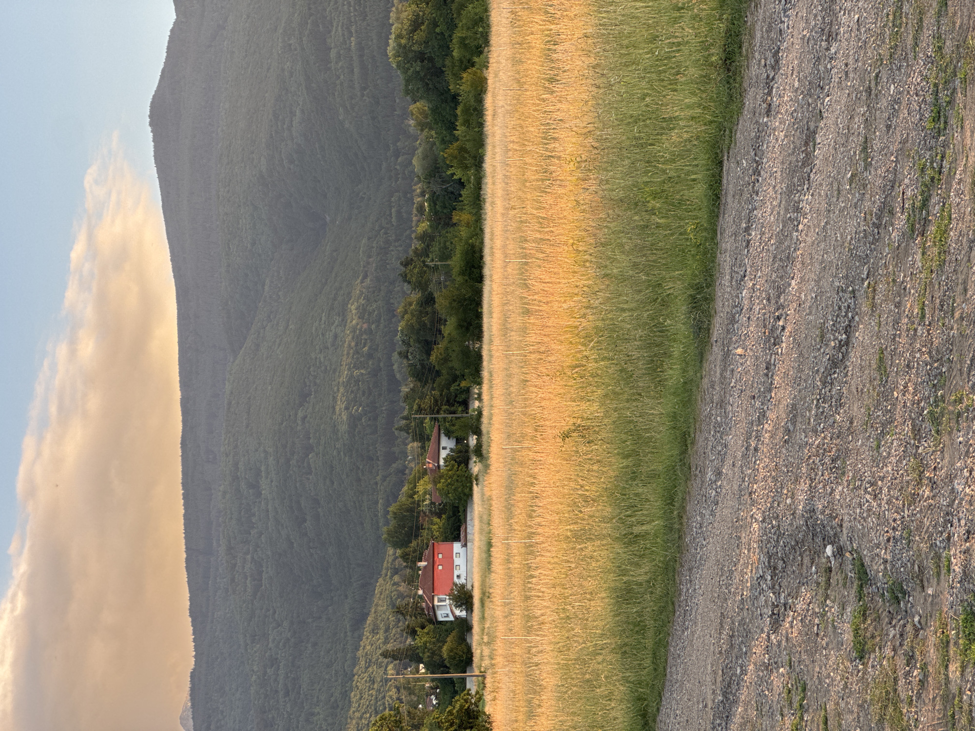 The image depicts a rural landscape with a prominent mountain range in the background, likely Vitosha Mountain, overlooking Sofia, Bulgaria. In the mid-ground, a field of tall, dry grass, illuminated by the warm glow of sunset or sunrise, stretches across the scene. A gravel road runs diagonally across the foreground. Nestled amongst trees behind the grassy field are two houses, one with a distinctive red roof and white walls, the other appearing to be a smaller white structure. Power lines and poles are visible, indicating the proximity of infrastructure. The sky above is a gradient of soft orange and blue, with scattered clouds. The overall impression is one of tranquility and natural beauty at the edge of an urban environment.