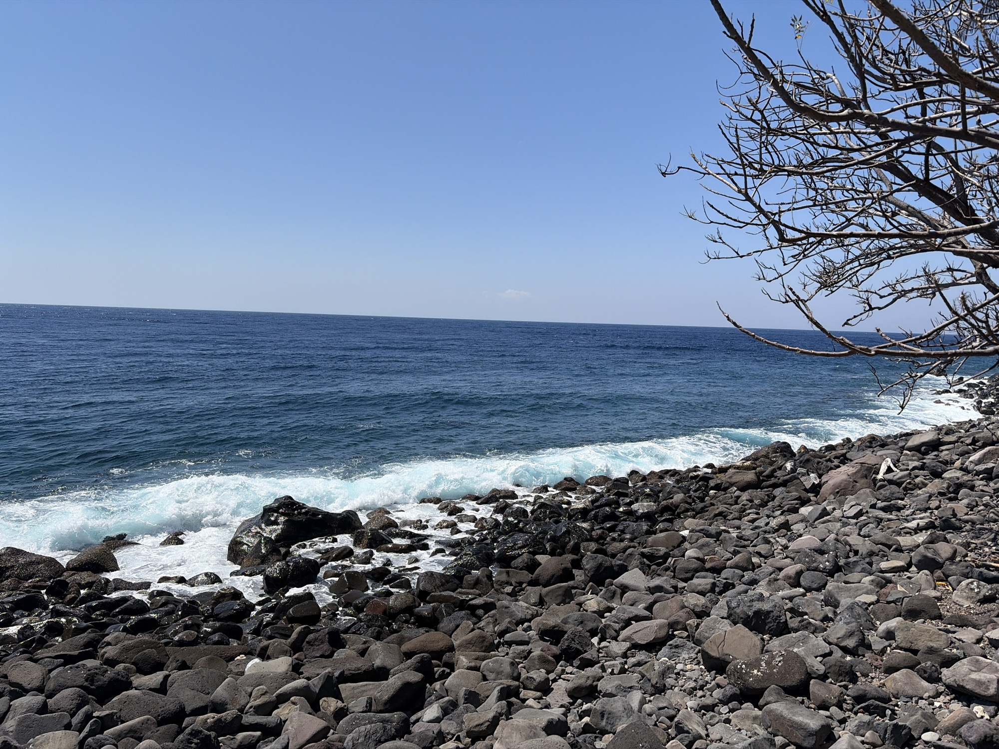 The image depicts a rocky coastline under a clear blue sky. The ocean, a deep blue, meets the shore with waves crashing onto the dark, rounded stones that make up the beach. In the upper right corner, the bare branches of a tree extend into the frame, stark against the bright sky. The scene is devoid of any visible people or structures, suggesting a natural, undeveloped coastal area. The environment appears to be dry and possibly arid, given the appearance of the tree. There is no information within the image to suggest a location in Abang, Indonesia.