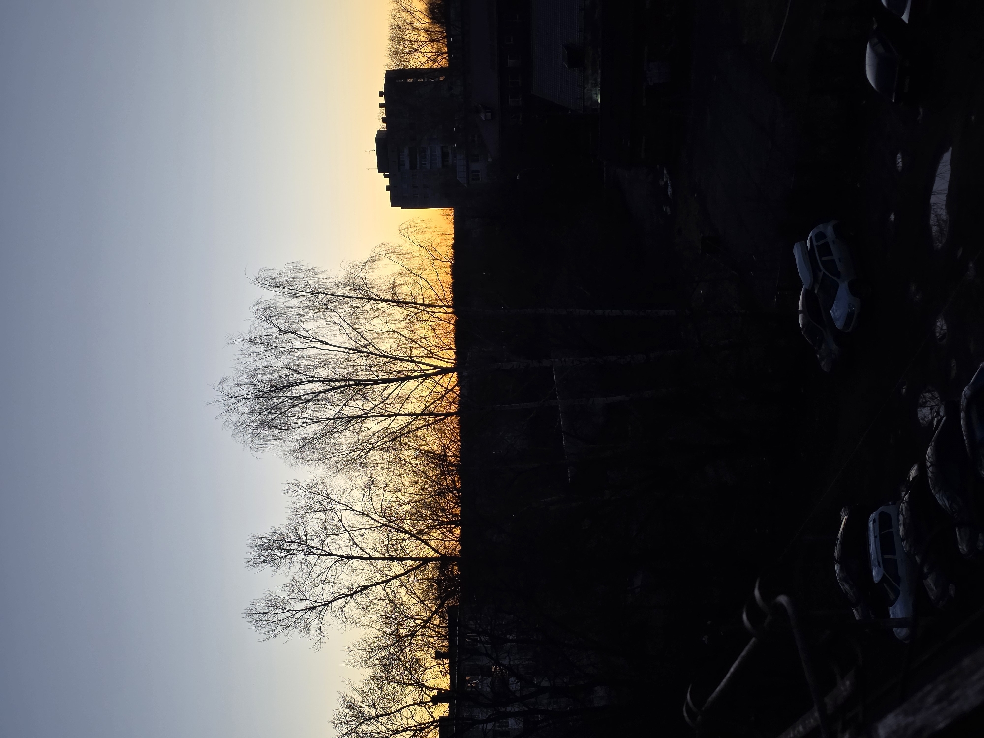 The image depicts an urban landscape at dusk, likely in Chaikovsky, Russia, given the information provided. The left side of the image shows the sky transitioning from light blue to orange near the horizon. Silhouetted bare trees are visible against the sky. A tall, dark building can be seen behind the trees on the right. The right side of the image is mostly in deep shadow, but several parked cars are discernible. A metal railing or fence is visible in the lower right corner. The overall scene suggests a residential area at twilight.