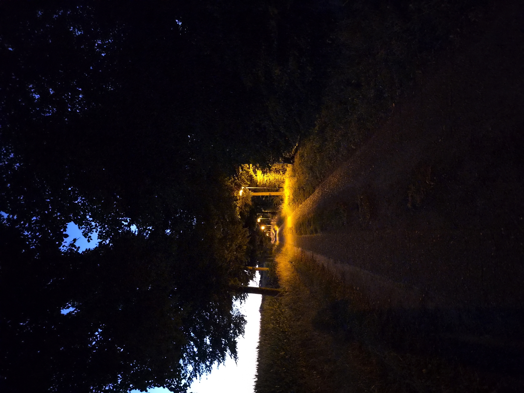 The image depicts a rural road at dusk or night, illuminated by a row of streetlights. The road is unpaved and appears to be a gravel or dirt path, leading into the distance. On either side of the road, there are dense trees with dark foliage, creating a tunnel-like effect. To the left of the road, beyond the trees, a field of crops, possibly corn, is visible. The sky above is a deep blue, with hints of lighter blue near the horizon. The streetlights cast a warm, yellow glow, illuminating patches of the road and the surrounding vegetation. There are no people or vehicles visible in the image, and the scene conveys a sense of quiet solitude. The location is identified as Schiffdorf, Germany.