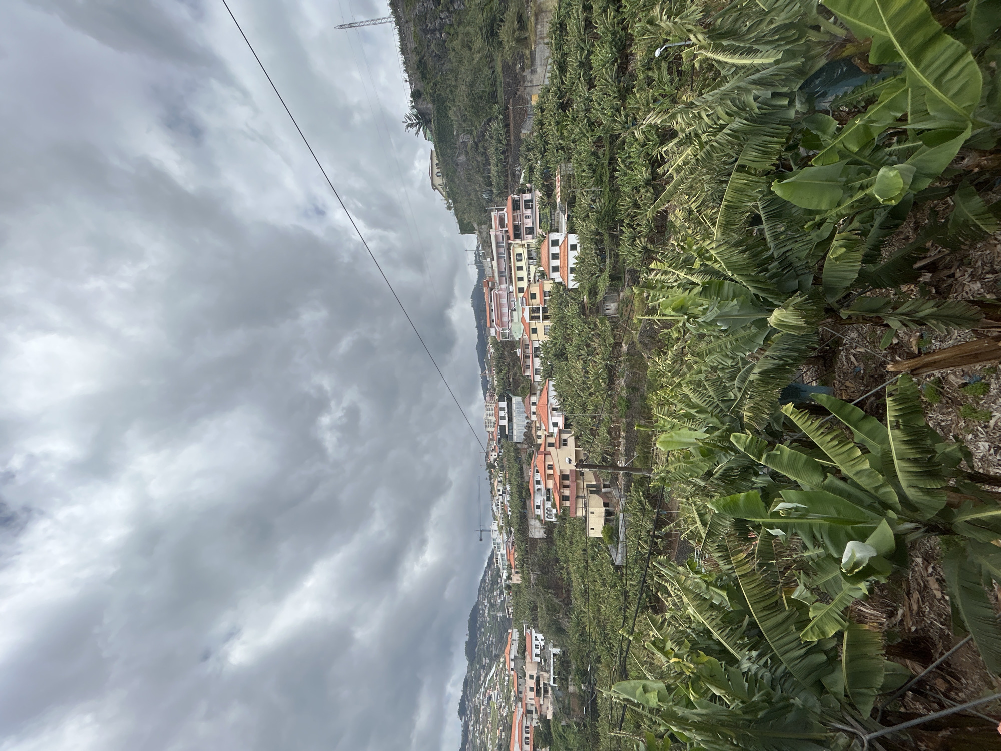 The image shows a hillside scene in Câmara de Lobos, Portugal. The sky is overcast with grey clouds. The hillside is covered in rows of banana trees. Scattered amongst the banana trees are various houses and buildings. A powerline runs through the upper portion of the frame.