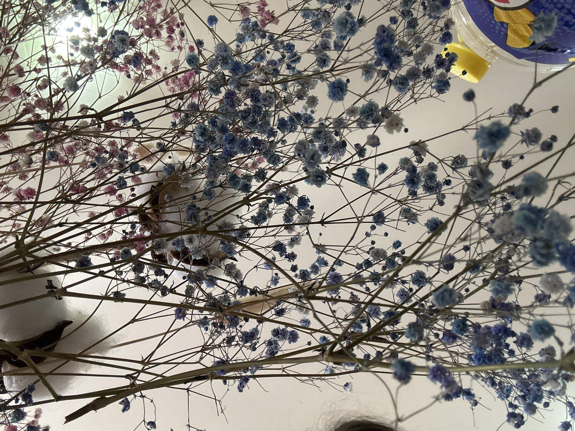 The image shows a close-up, upward-facing view of dried baby's breath flowers, some dyed pink and blue, hanging from thin stems against a plain white background, likely a ceiling. The flowers are dense and delicate, creating a whimsical and somewhat ethereal effect. In the lower right corner, a portion of a yellow plastic lid and a blue object with a yellow graphic are visible, suggesting a container or toy. The overall impression is one of a decorative installation, possibly in a home or studio setting. No specific location in Budva, Montenegro, can be determined from the visual information provided.