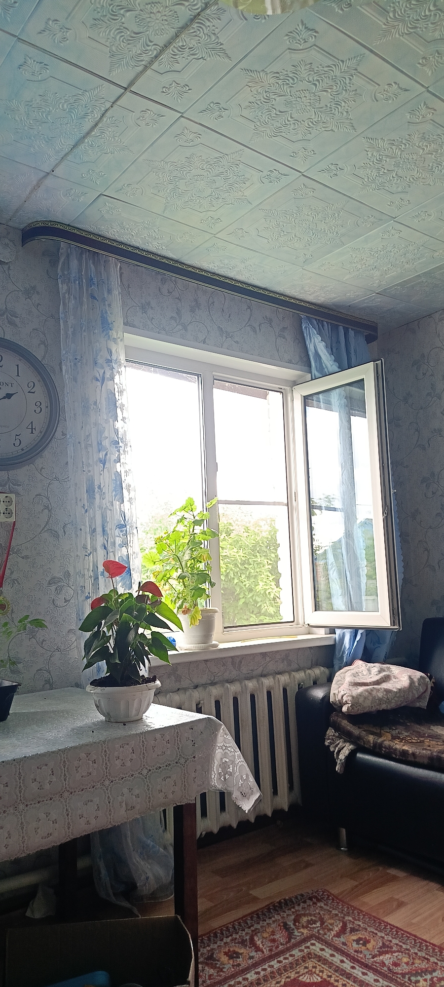 The image depicts an interior view of a room, likely a living area or bedroom, in a residential building located in the city of Kamennoye, Russia. The room features a window with partially opened blinds, allowing natural light to illuminate the space. Outside the window, lush green foliage is visible, suggesting a setting with natural surroundings.
In the foreground, a table is set with a white, patterned tablecloth, upon which sits a potted plant with vibrant red flowers and green leaves. Adjacent to the window is a white radiator. To the right of the window, a black leather sofa is partially visible, adorned with a patterned throw blanket. The floor is covered with a reddish-brown rug with an intricate design, and the walls are decorated with a floral-patterned wallpaper. The ceiling is tiled with an embossed pattern.
On the left side of the image, a large round clock with a metal frame is mounted on the wall. Several electrical outlets are also visible near the clock. The overall impression is of a domestic setting, furnished with common household items. No individuals are present in the scene, and no specific actions are being depicted. The lighting suggests it is daytime.