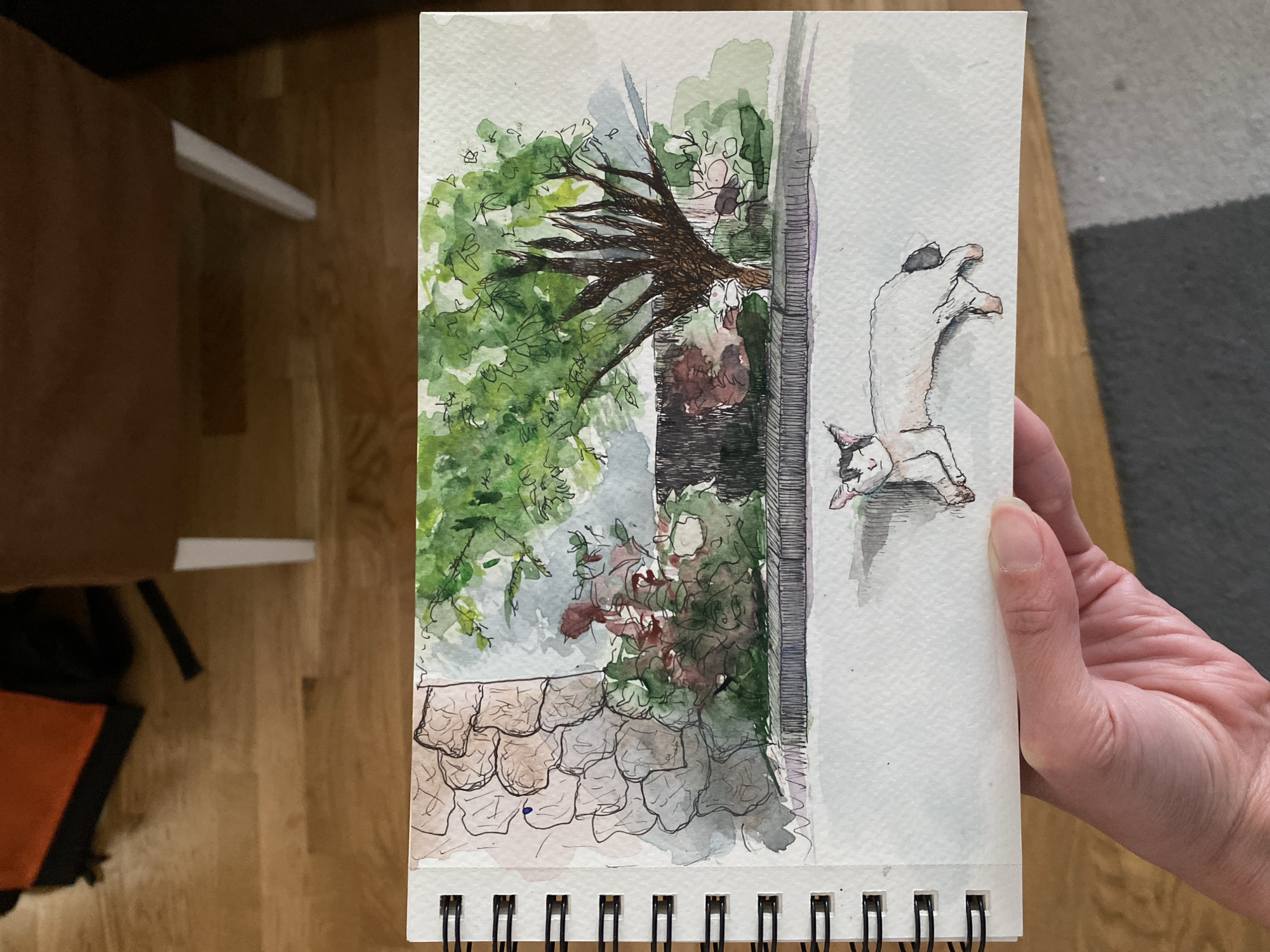 A watercolor sketch depicting an outdoor scene is held in a person's hand. The sketch features a tree with green foliage and brown branches, a wall or fence behind it, and a cat lying on its back. The foreground of the sketch shows what appears to be a roof made of tiles. The background of the image shows a wooden floor and a grey carpet.
