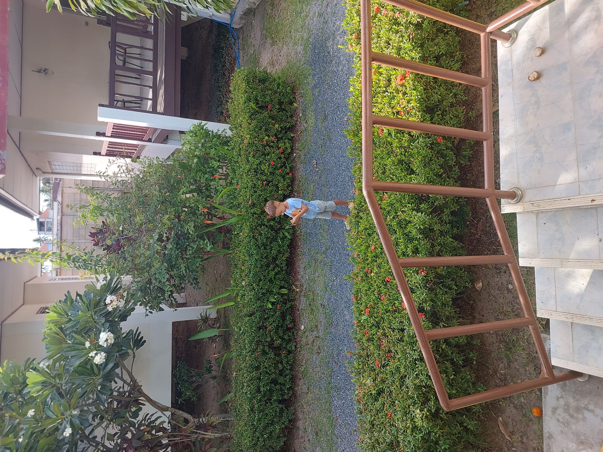 The image captures a bright, outdoor scene in Baan Mae Nam, Thailand, likely a resort or residential area. A young boy, wearing a light blue t-shirt and grey shorts, stands on a gravel path, looking at his phone. He is surrounded by lush green bushes with small red flowers. In the background, a white building with a wooden veranda and chairs is visible. A tree with white flowers is also present. The foreground shows a set of tiled stairs with a brown metal railing. The overall impression is one of a peaceful, tropical setting.