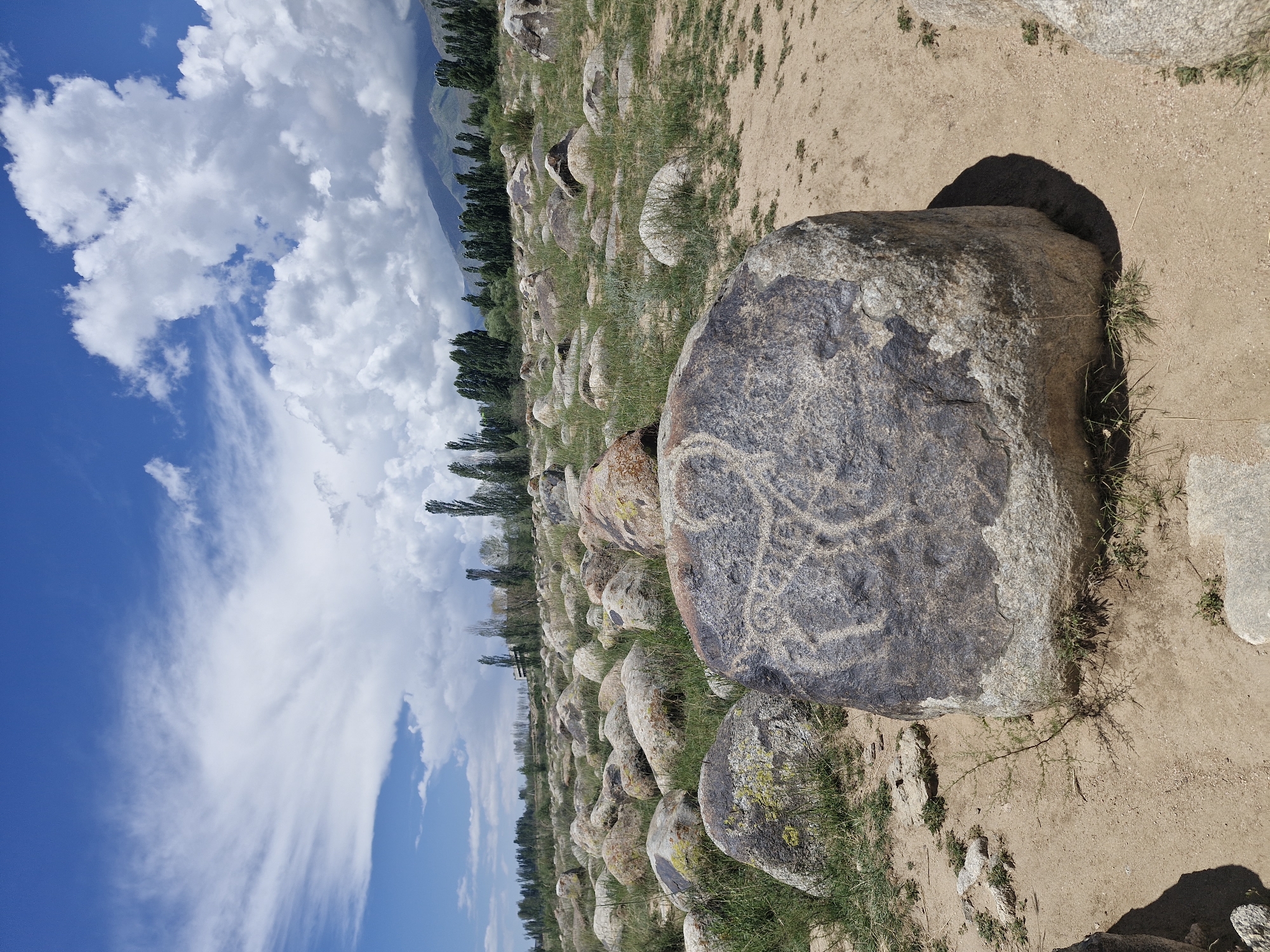 The image shows a landscape scene in Cholpon-Ata, Kyrgyzstan, featuring a field of large, weathered boulders under a bright blue sky with scattered white clouds. In the foreground, a large, dark grey boulder displays ancient petroglyphs carved into its surface, depicting what appears to be an animal figure with intricate lines. Surrounding this prominent boulder are numerous other rocks of varying sizes, some partially covered by dry grass and small green plants. In the middle ground, a line of tall, slender trees stands against a backdrop of distant, hazy mountains and a building structure. The ground is a mix of sandy soil and sparse vegetation. The overall environment suggests an open-air archaeological site.