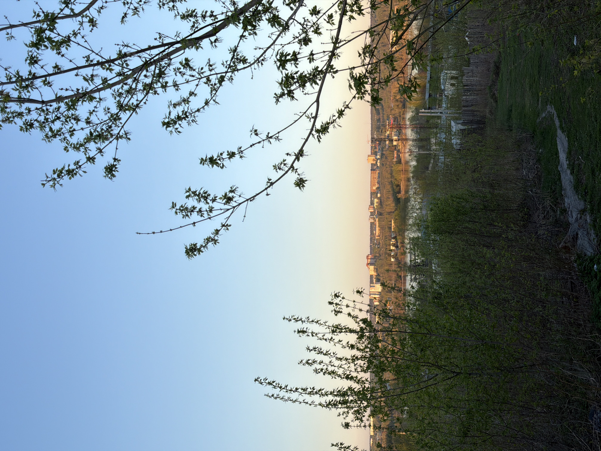 The image depicts an urban landscape at dusk. The sky is a gradient from light blue near the top to a pale orange near the horizon. Silhouetted tree branches with nascent leaves frame the upper left and lower right corners. In the mid-ground, there's a view across a river or wide body of water, towards the city of Perm, Russia. Buildings are visible along the riverbank, along with industrial structures and power lines. Patches of greenery suggest parks or wooded areas interspersed within the urban sprawl. A grassy, slightly overgrown bank slopes down towards the city, on the right side of the image, suggesting a location on a higher ground overlooking the city. A faint path is visible in the grass. No people are visible in the shot.