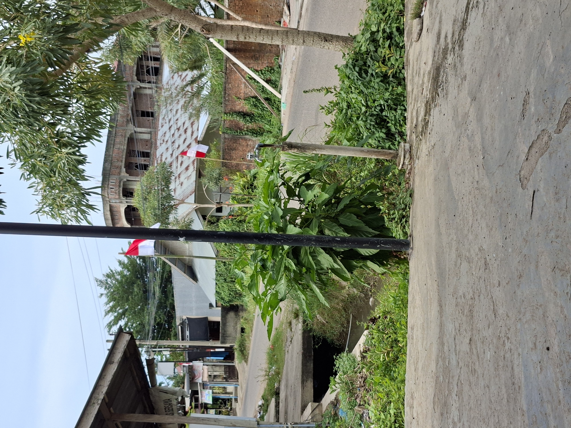 The image depicts a roadside scene in Keudejungkagajah, Indonesia. In the foreground, a grey concrete surface is visible, with some cracks and stains. To the left, a small concrete bridge crosses a narrow, water-filled ditch surrounded by lush green vegetation. A tall, dark pole stands centrally in the middle ground, with a large, leafy green plant positioned directly in front of it. To the right of the pole, a metal faucet is mounted on a wooden stake.
Behind the vegetation, a paved road runs horizontally across the image. On the left side of the road, there are several small buildings with corrugated metal roofs, some appearing to be shops or stalls, one with a sign that reads "BERSAMA". Further back, a partially constructed building with visible brickwork and arched openings stands prominently. Two Indonesian flags, red and white, are planted on poles on the left and right sides of the road, one near the buildings and another further down the road. A red brick wall runs along the right side of the road, partially covered by vines. Trees with green foliage are scattered throughout the scene, with one large tree framing the upper right portion of the image and a smaller one to its left. The sky is overcast. No people are present in the image.