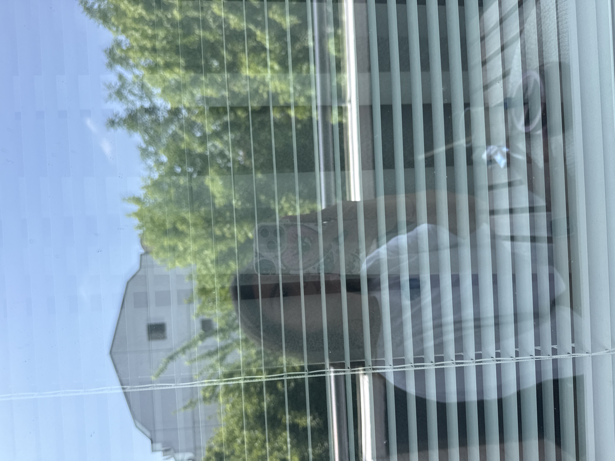 The image displays a scene viewed through a window with vertical white blinds, overlaid with a reflection of the person taking the photograph. The original image is oriented sideways, rotated 90 degrees counter-clockwise.
When viewed with the correct orientation, the outdoor scene visible through the window features a clear, bright blue sky on the left, giving way to a dense mass of green trees that fill the central and right areas. A light-colored building with dark, rectangular windows is faintly visible in the upper left background, behind the trees.
The window is fitted with white vertical blinds, which are partially open, creating distinct vertical stripes across both the exterior view and the interior reflection. A prominent reflection of the photographer is captured on the right side of the window. This reflection clearly shows a hand holding a smartphone, identifiable by its triple-lens camera array. Partial glimpses of the photographer's body, including what appears to be a light-colored shirt and a portion of their face (possibly chin and beard), are discernible through the blinds and the reflection's translucency.
The scene is bathed in bright daylight, indicative of a clear and sunny morning or afternoon. The window glass exhibits some minor smudges or dust. There is no visible text within the image. The location context provided is Plovdiv, Bulgaria.